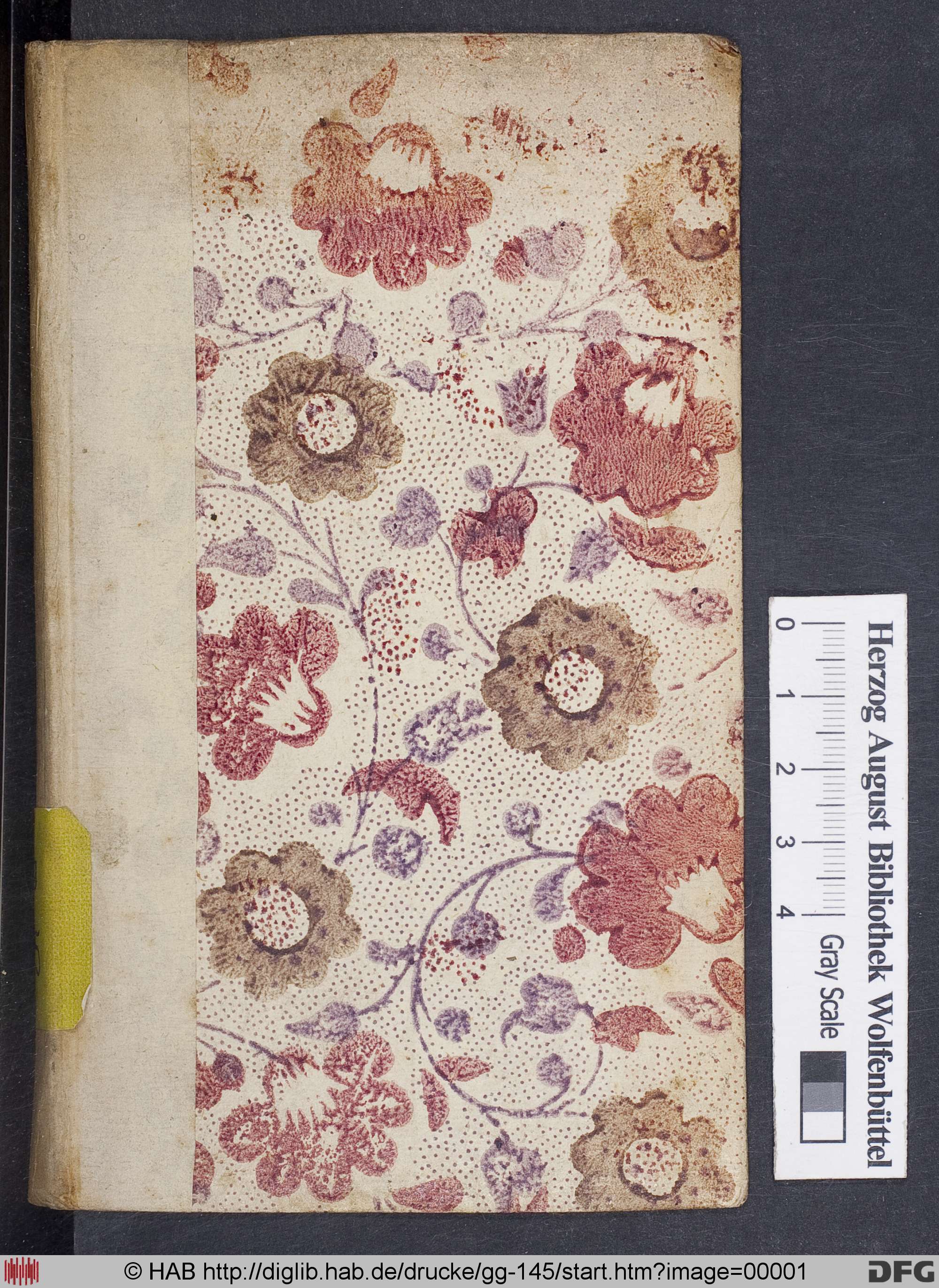 http://diglib.hab.de/drucke/gg-145/max/00001.jpg