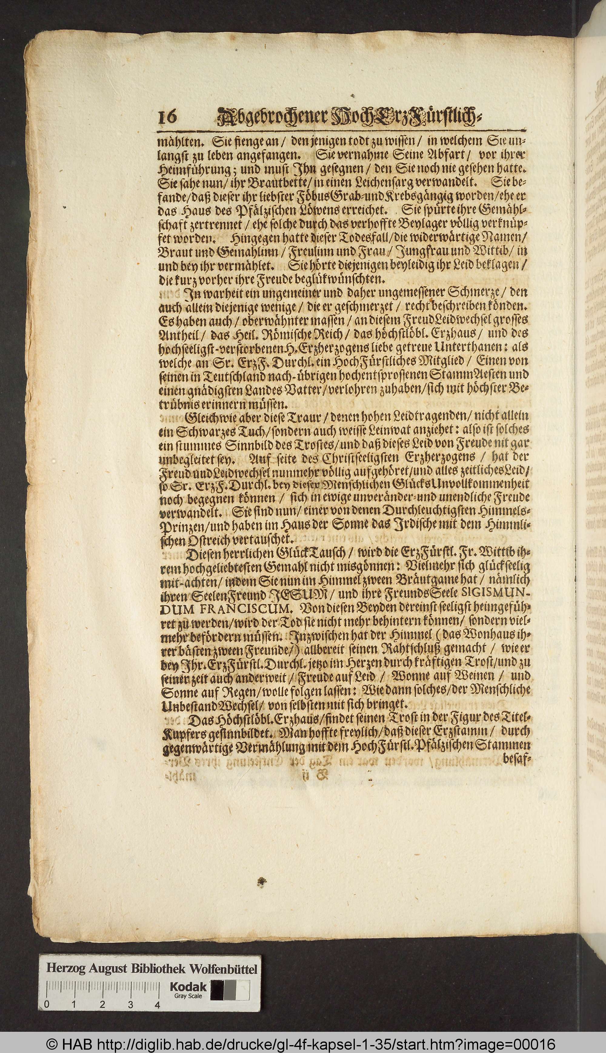 http://diglib.hab.de/drucke/gl-4f-kapsel-1-35/max/00016.jpg