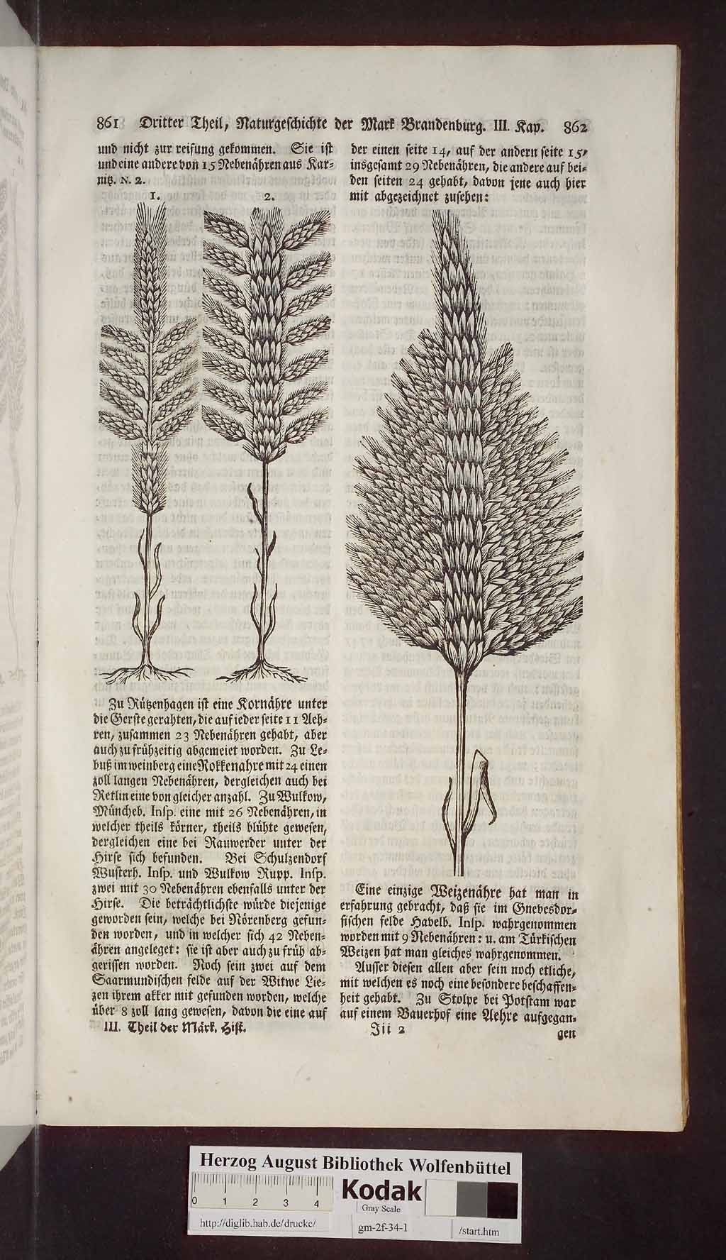 http://diglib.hab.de/drucke/gm-2f-34-1/00475.jpg