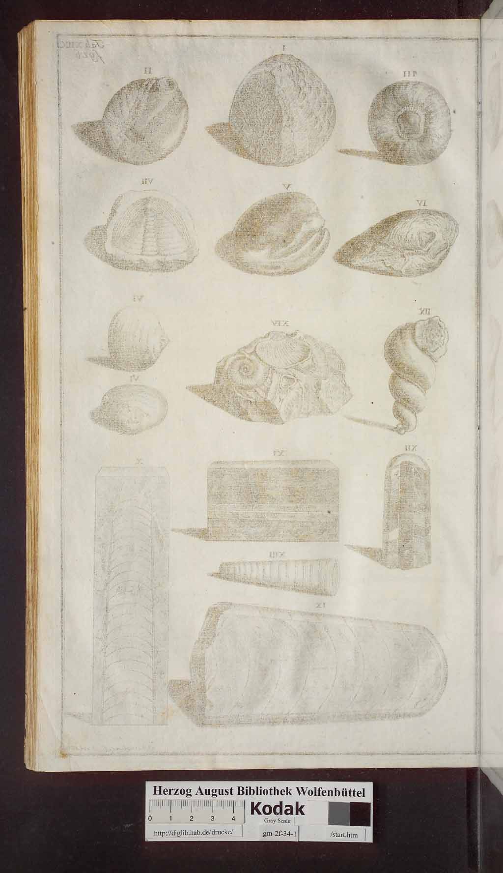 http://diglib.hab.de/drucke/gm-2f-34-1/00510.jpg
