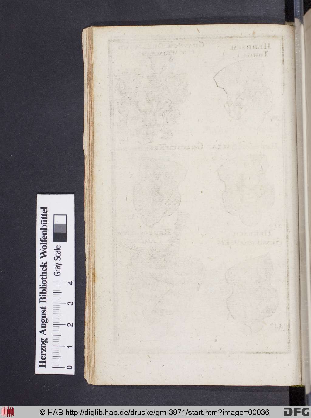 http://diglib.hab.de/drucke/gm-3971/00036.jpg