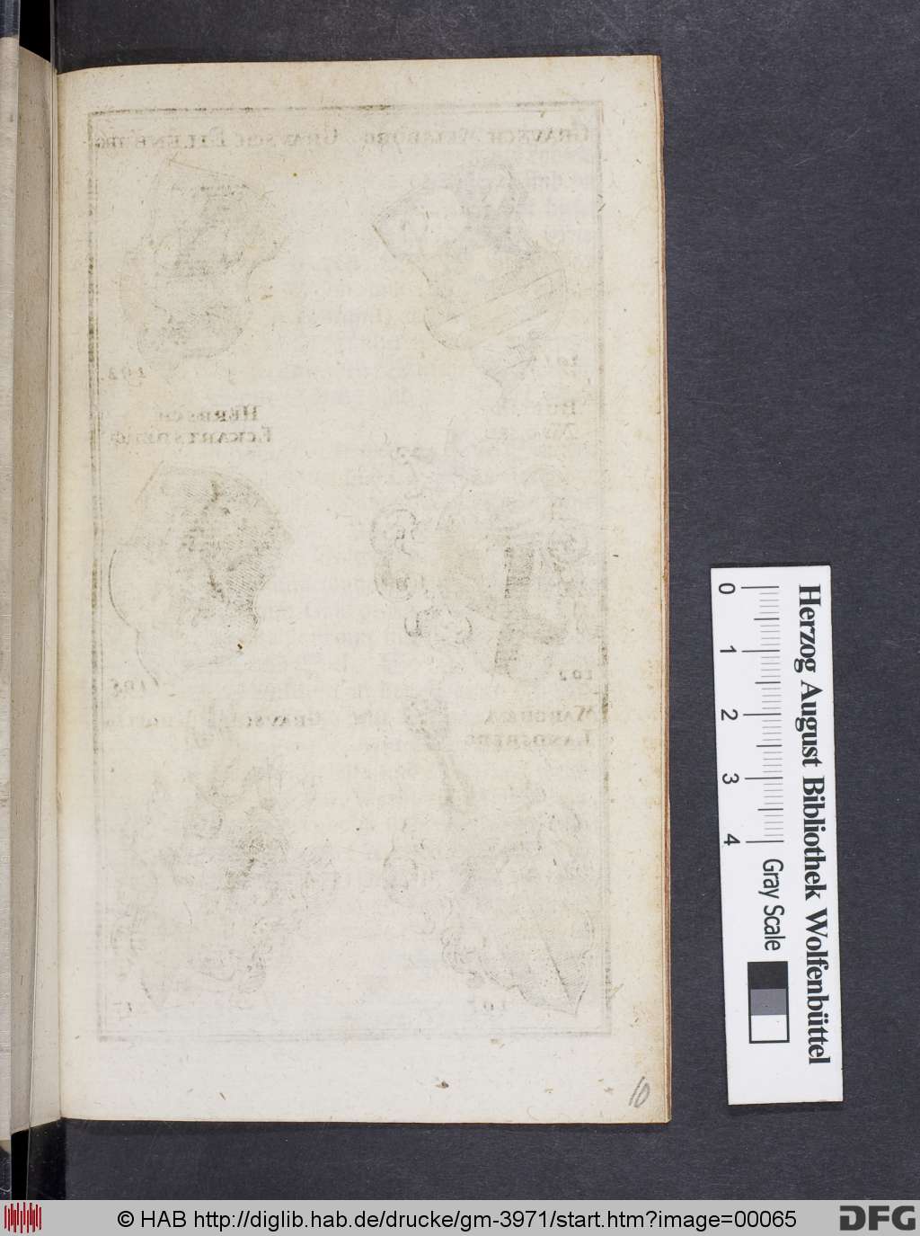 http://diglib.hab.de/drucke/gm-3971/00065.jpg