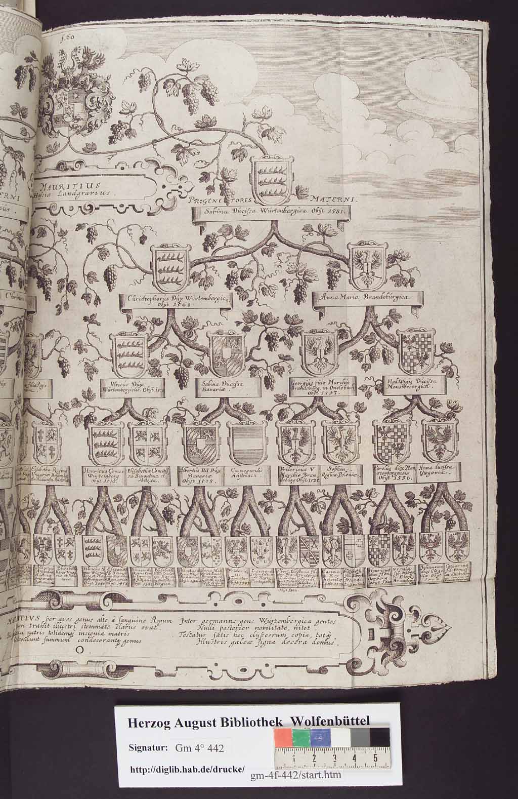 http://diglib.hab.de/drucke/gm-4f-442-1/00081.jpg