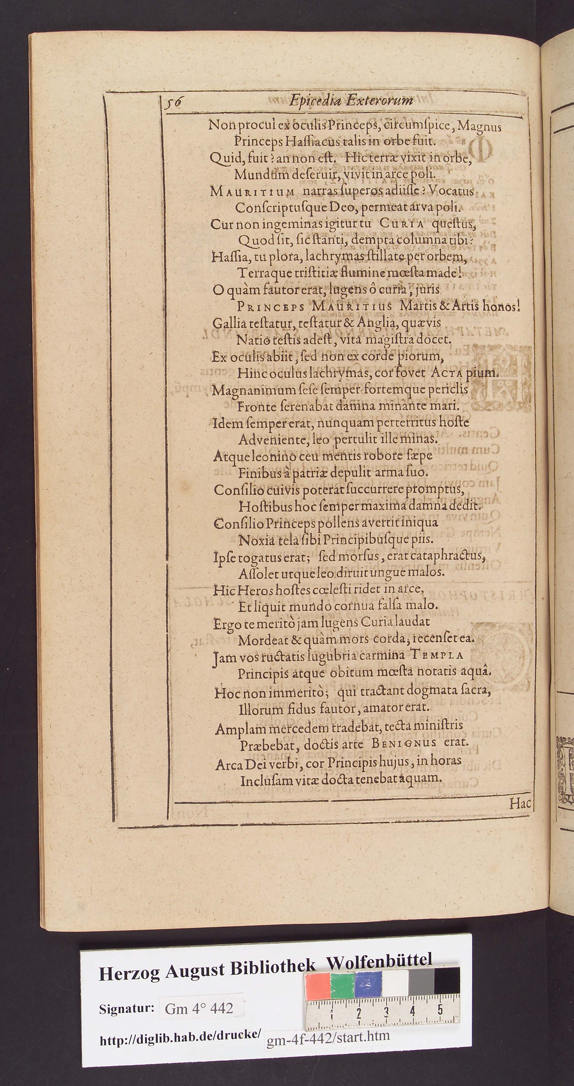 http://diglib.hab.de/drucke/gm-4f-442-3/max/00056.jpg