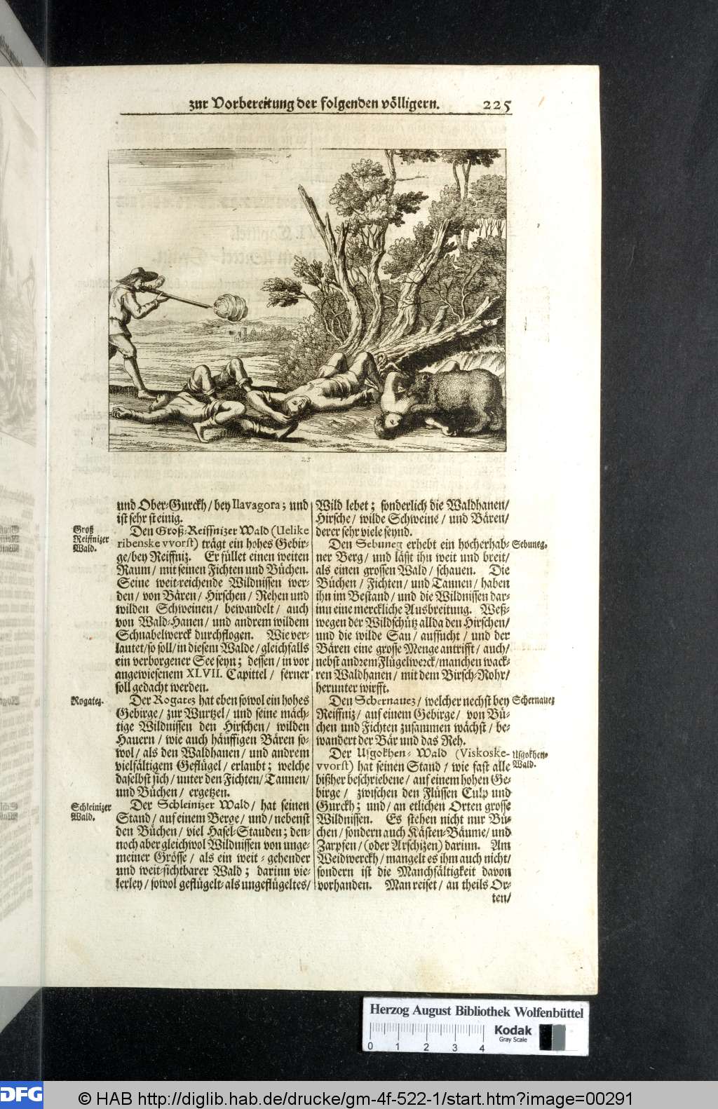 http://diglib.hab.de/drucke/gm-4f-522-1/00291.jpg