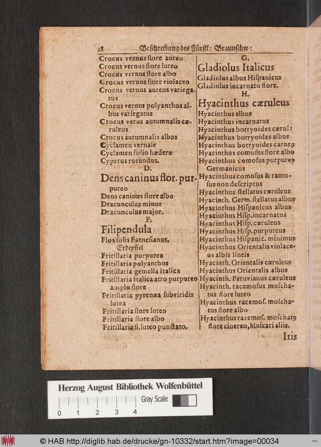 http://diglib.hab.de/drucke/gn-10332/00034.jpg