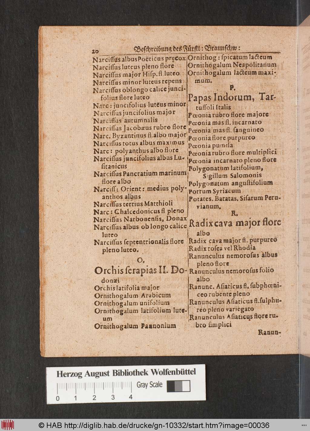 http://diglib.hab.de/drucke/gn-10332/00036.jpg