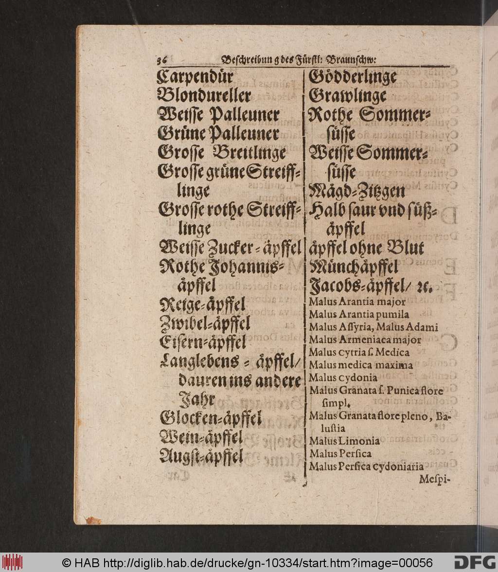 http://diglib.hab.de/drucke/gn-10334/00056.jpg