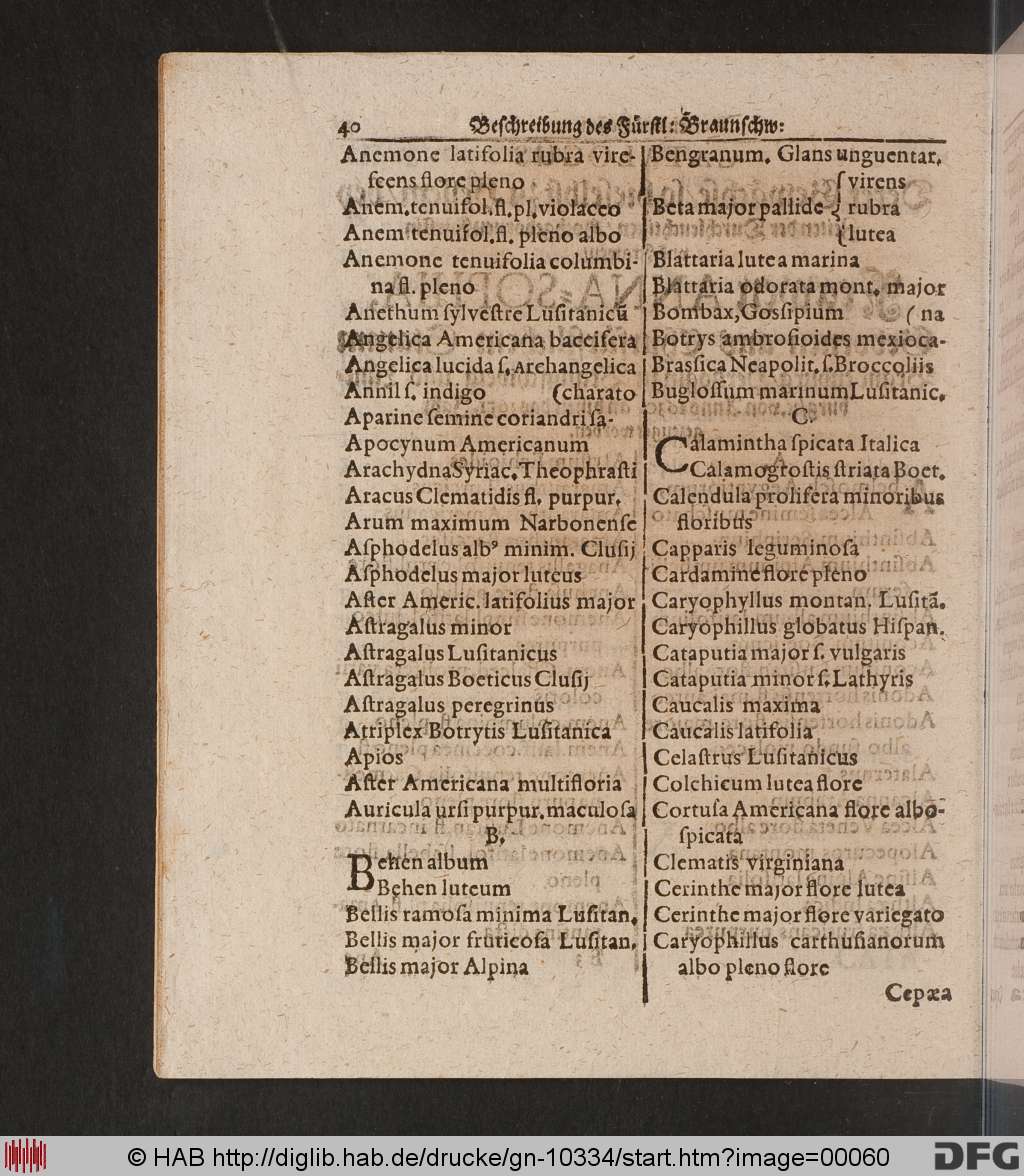 http://diglib.hab.de/drucke/gn-10334/00060.jpg
