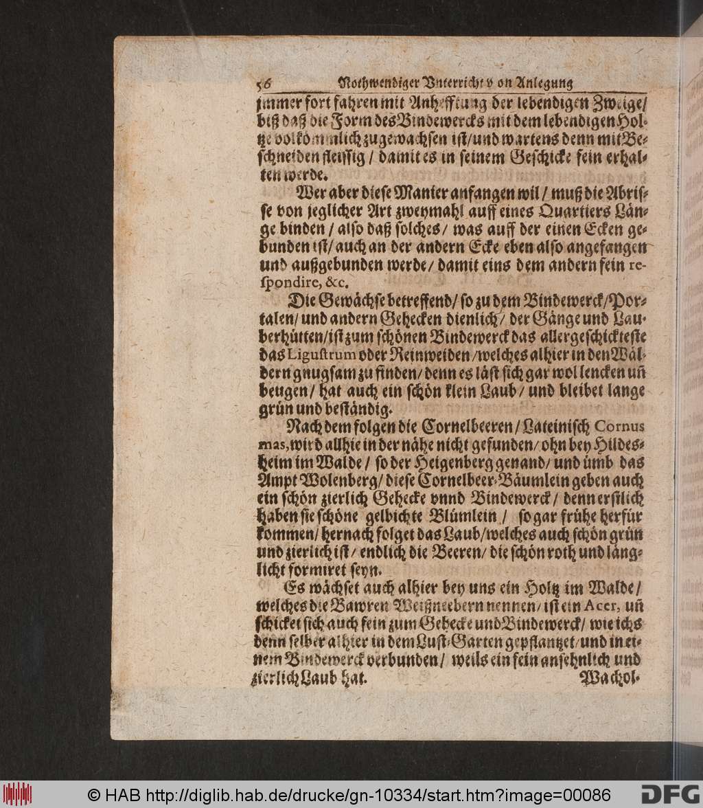 http://diglib.hab.de/drucke/gn-10334/00086.jpg