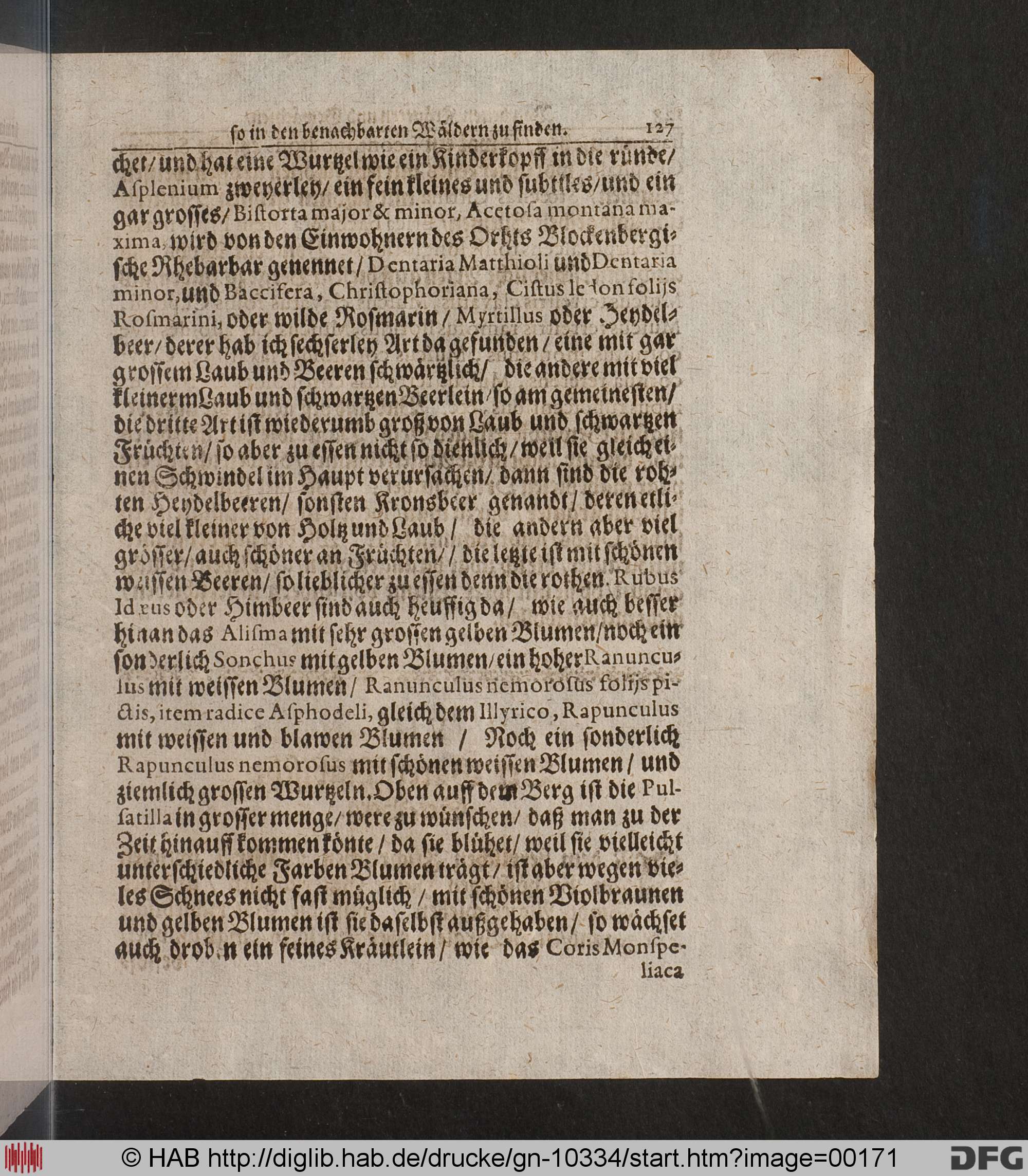 http://diglib.hab.de/drucke/gn-10334/max/00171.jpg