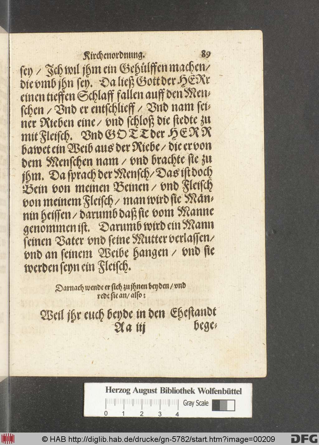 http://diglib.hab.de/drucke/gn-5782/00209.jpg