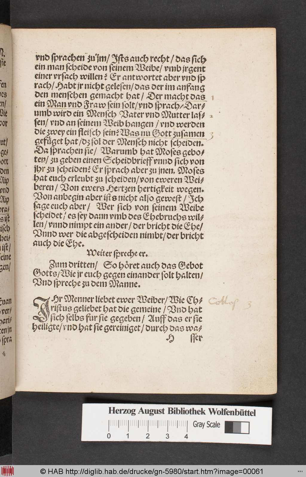 http://diglib.hab.de/drucke/gn-5980/00061.jpg