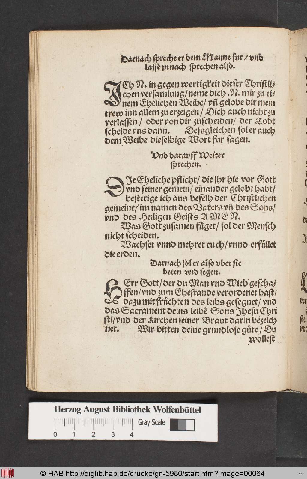 http://diglib.hab.de/drucke/gn-5980/00064.jpg