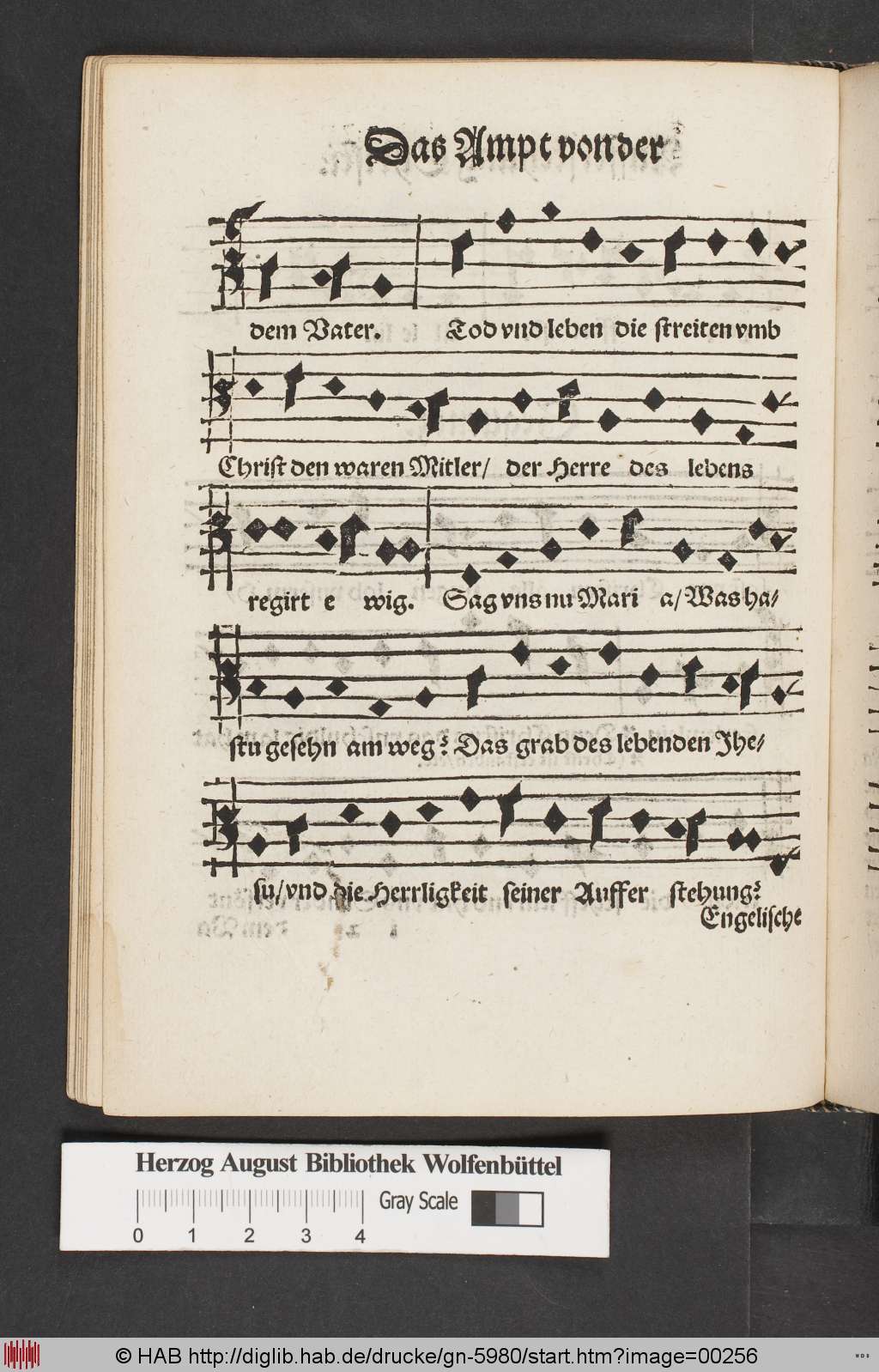 http://diglib.hab.de/drucke/gn-5980/00256.jpg