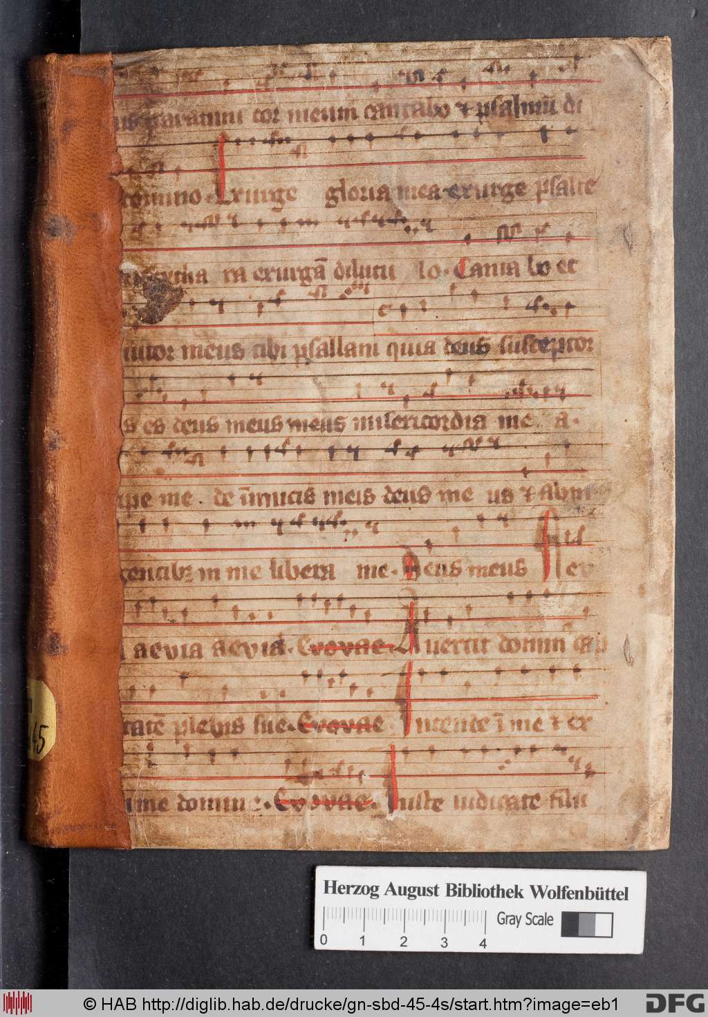 http://diglib.hab.de/drucke/gn-sbd-45-4s/eb1.jpg