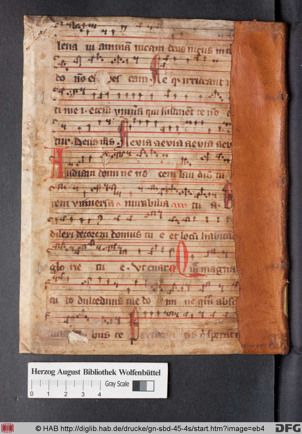 http://diglib.hab.de/drucke/gn-sbd-45-4s/eb4.jpg