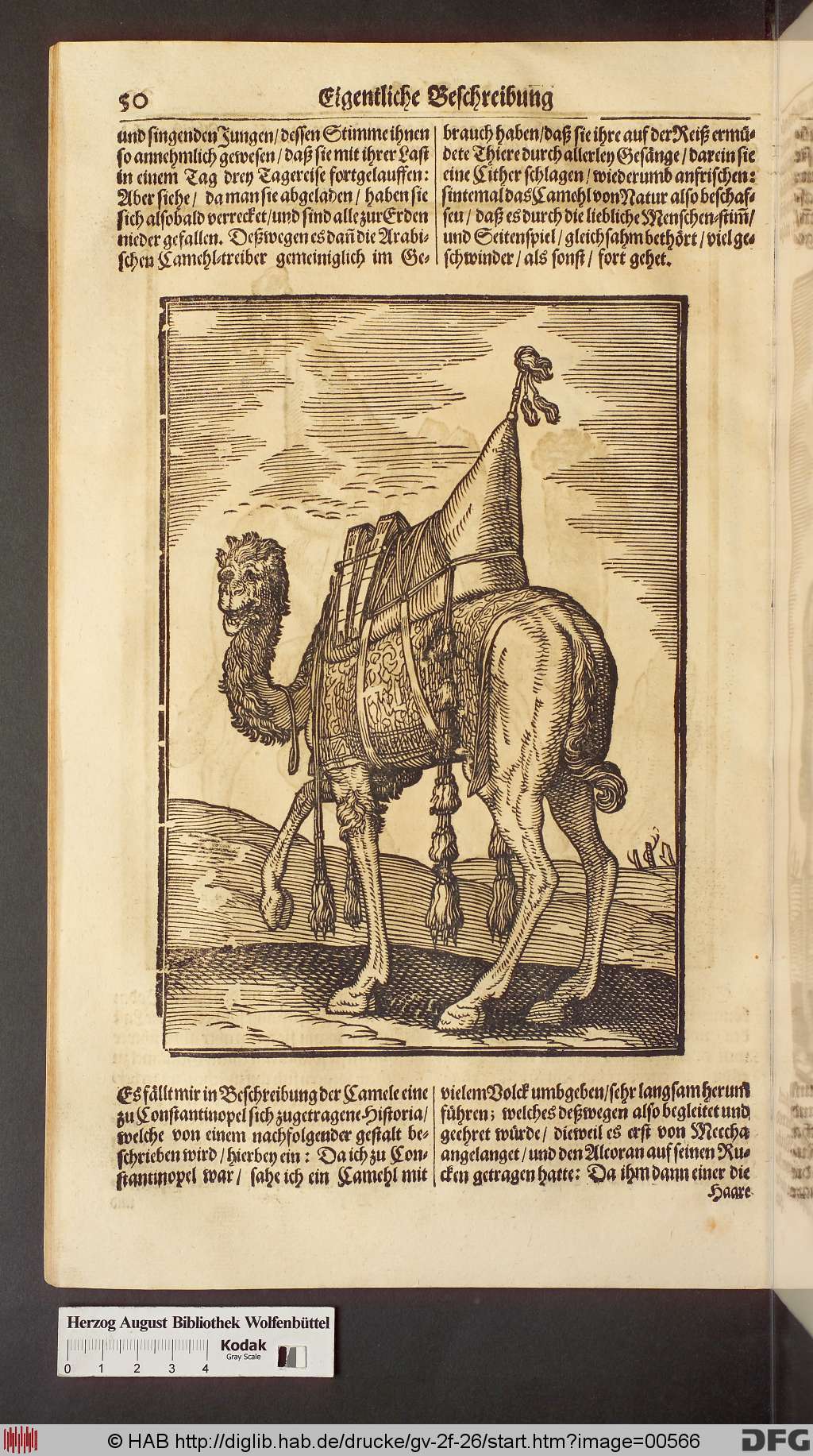 http://diglib.hab.de/drucke/gv-2f-26/00566.jpg