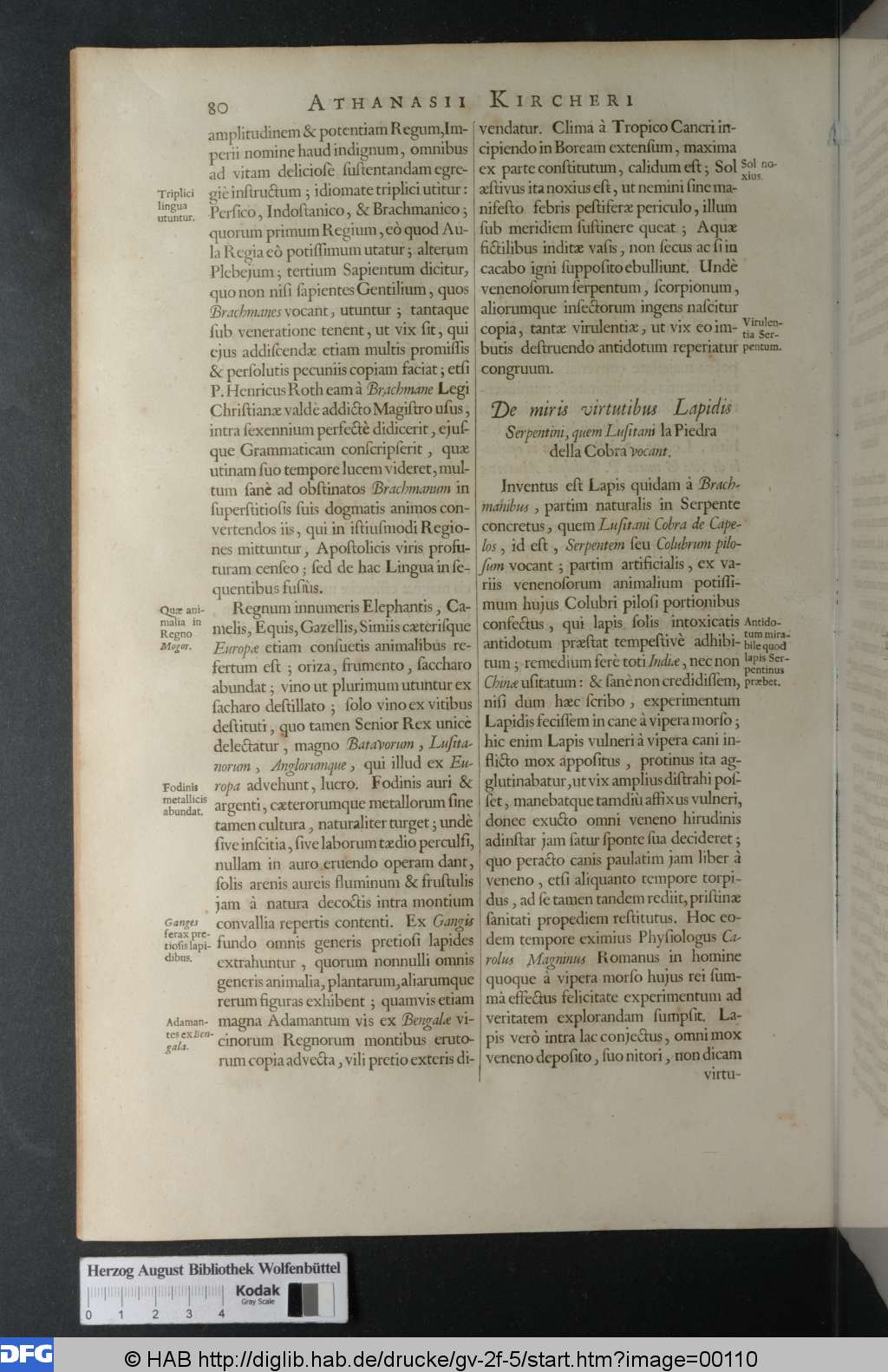 http://diglib.hab.de/drucke/gv-2f-5/00110.jpg