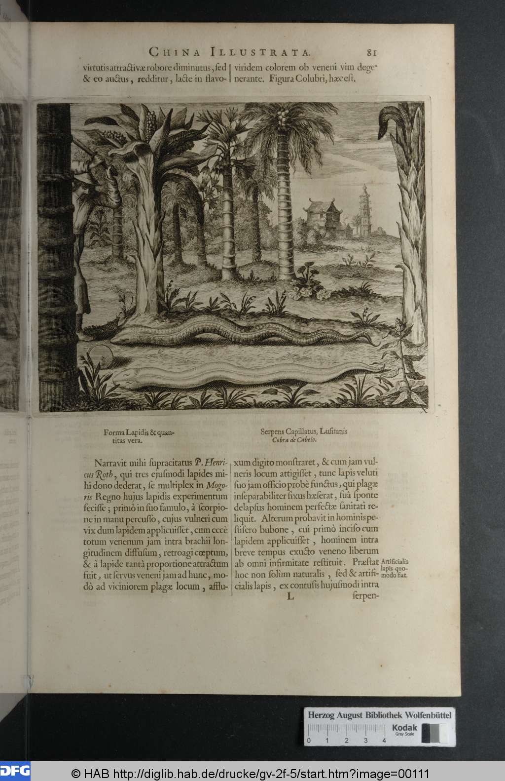 http://diglib.hab.de/drucke/gv-2f-5/00111.jpg