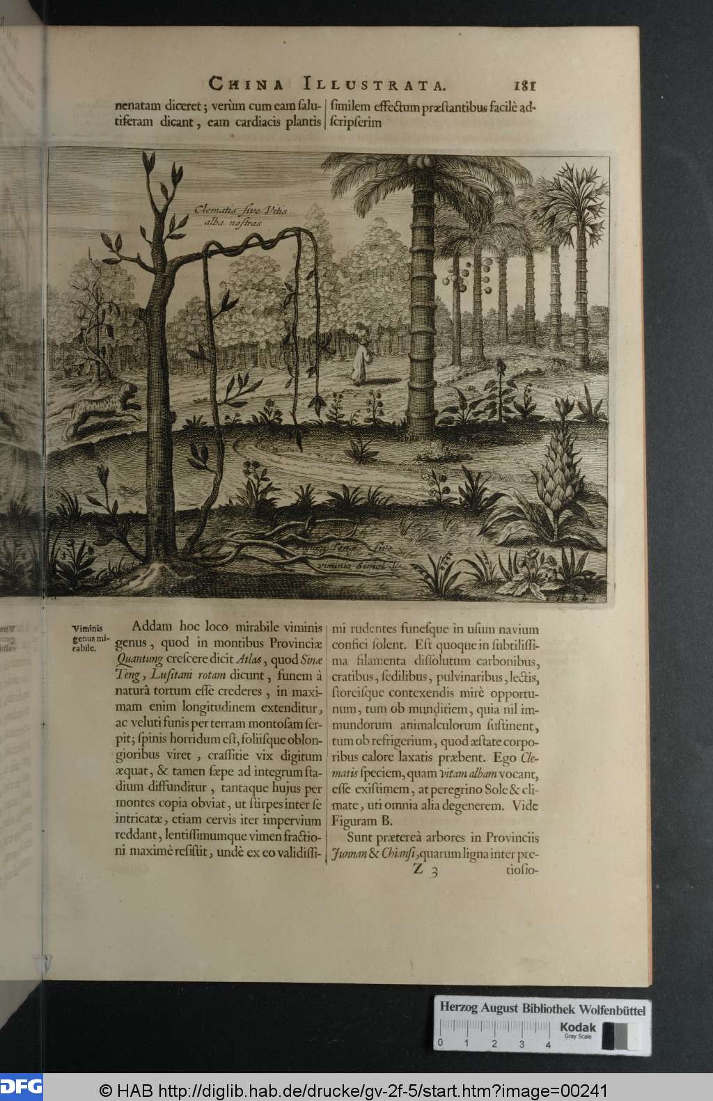http://diglib.hab.de/drucke/gv-2f-5/00241.jpg
