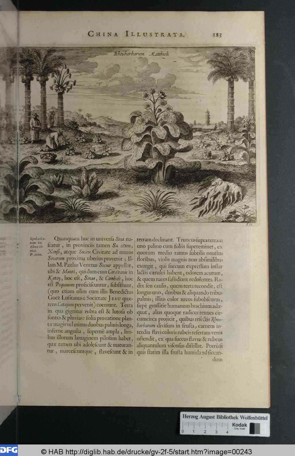 http://diglib.hab.de/drucke/gv-2f-5/00243.jpg