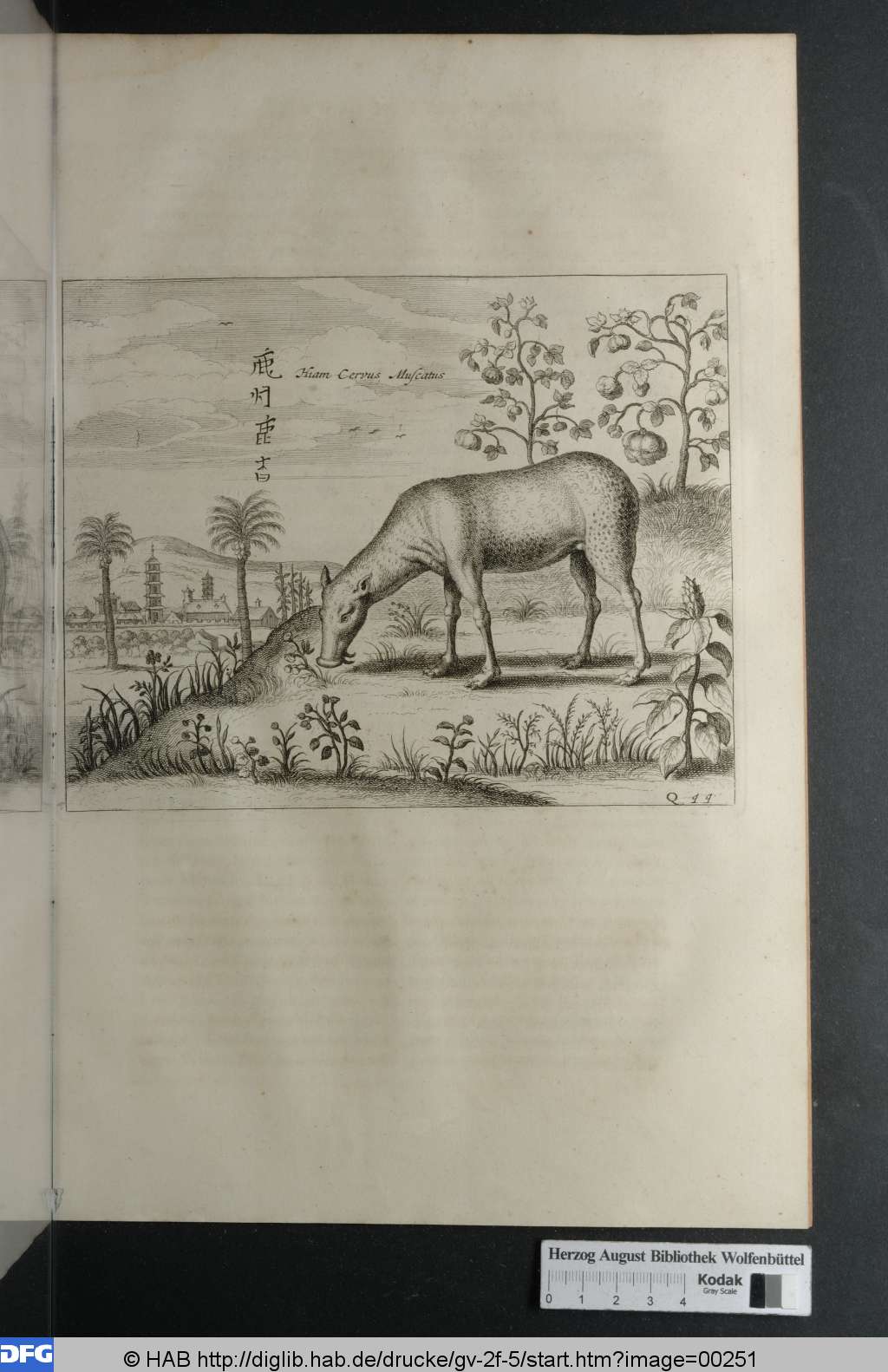 http://diglib.hab.de/drucke/gv-2f-5/00251.jpg