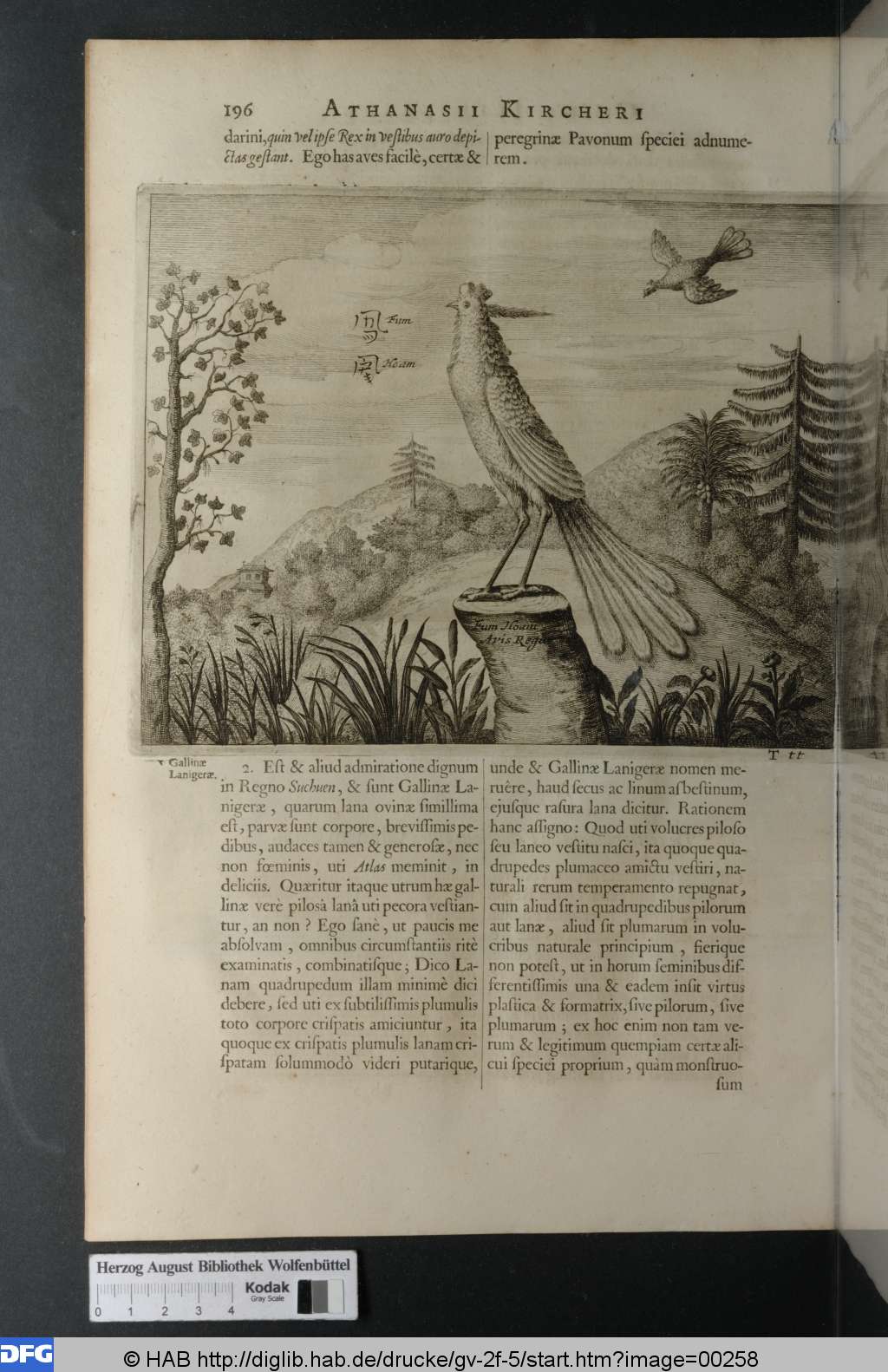 http://diglib.hab.de/drucke/gv-2f-5/00258.jpg