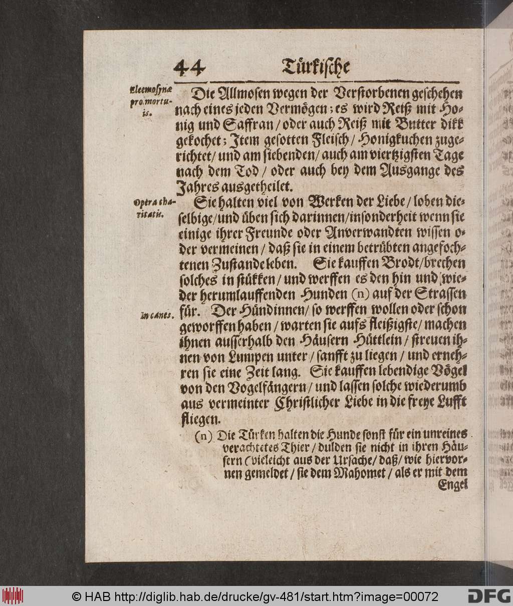 http://diglib.hab.de/drucke/gv-481/00072.jpg