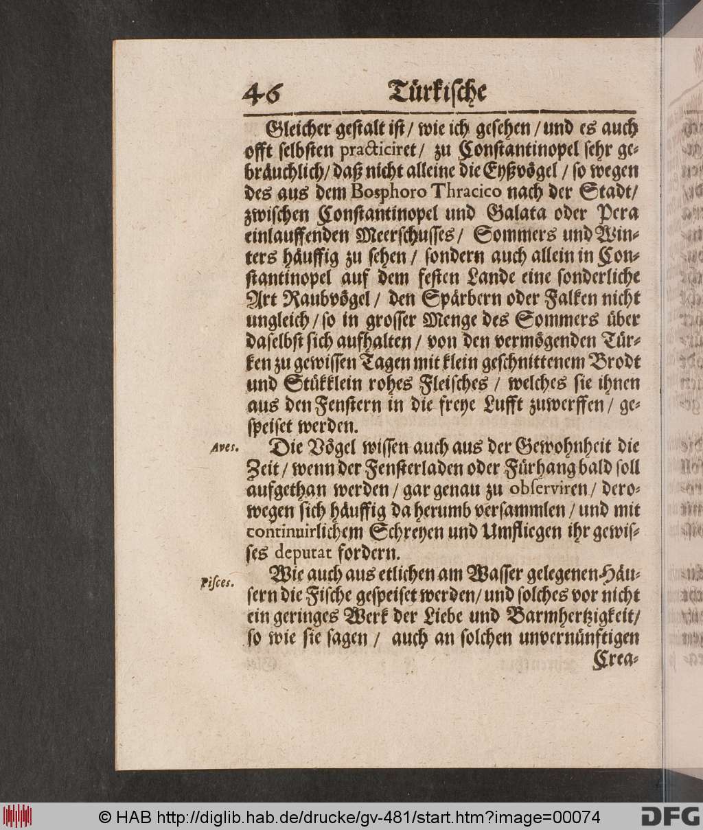 http://diglib.hab.de/drucke/gv-481/00074.jpg