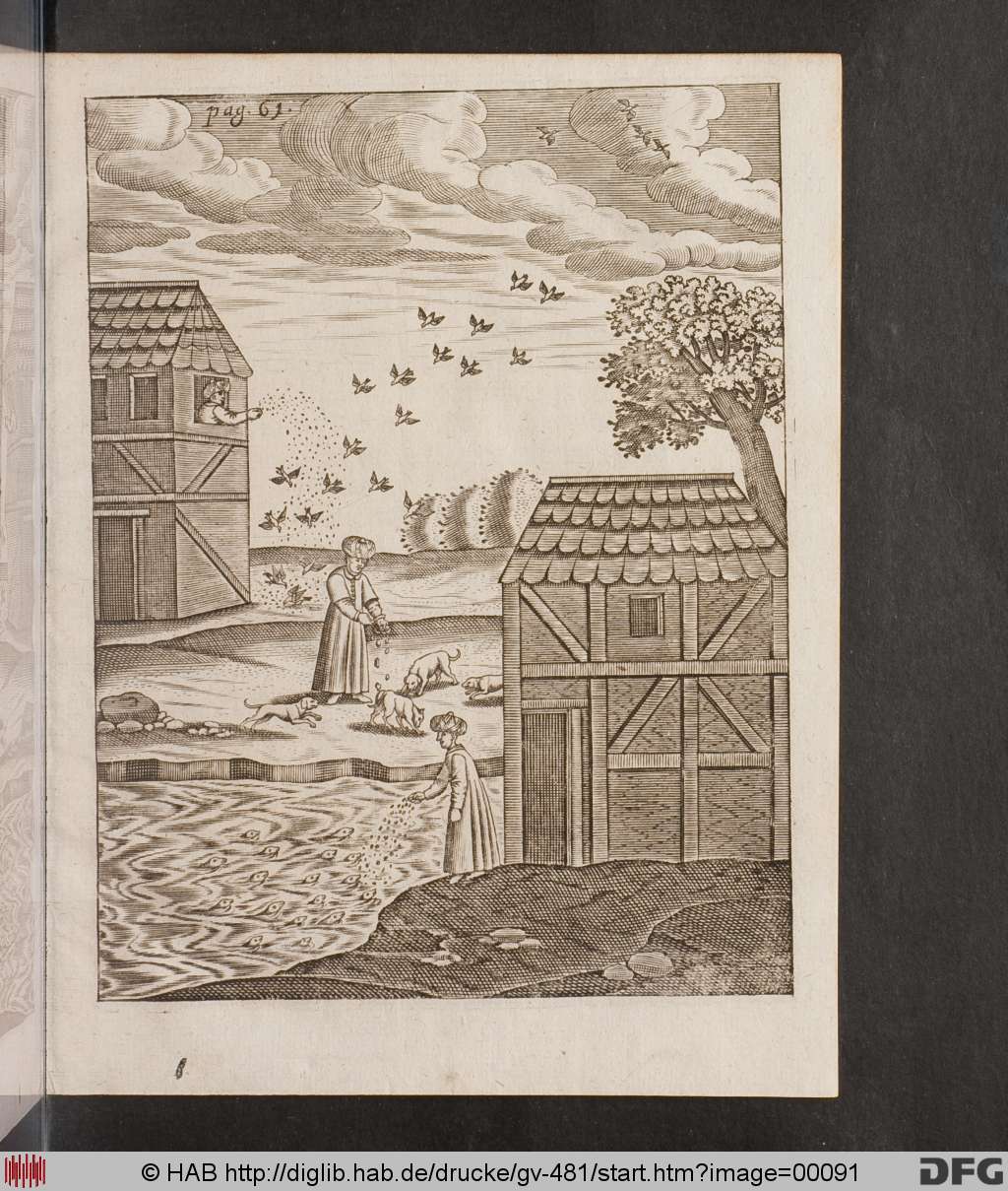 http://diglib.hab.de/drucke/gv-481/00091.jpg
