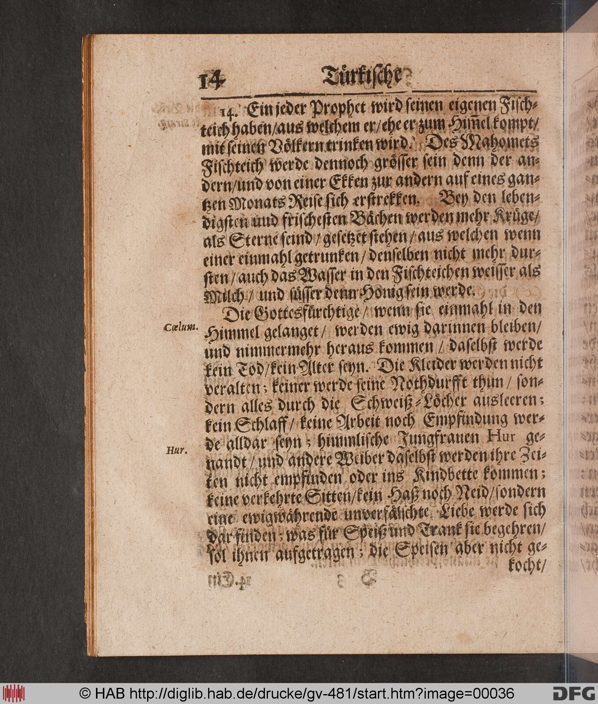 http://diglib.hab.de/drucke/gv-481/max/00036.jpg