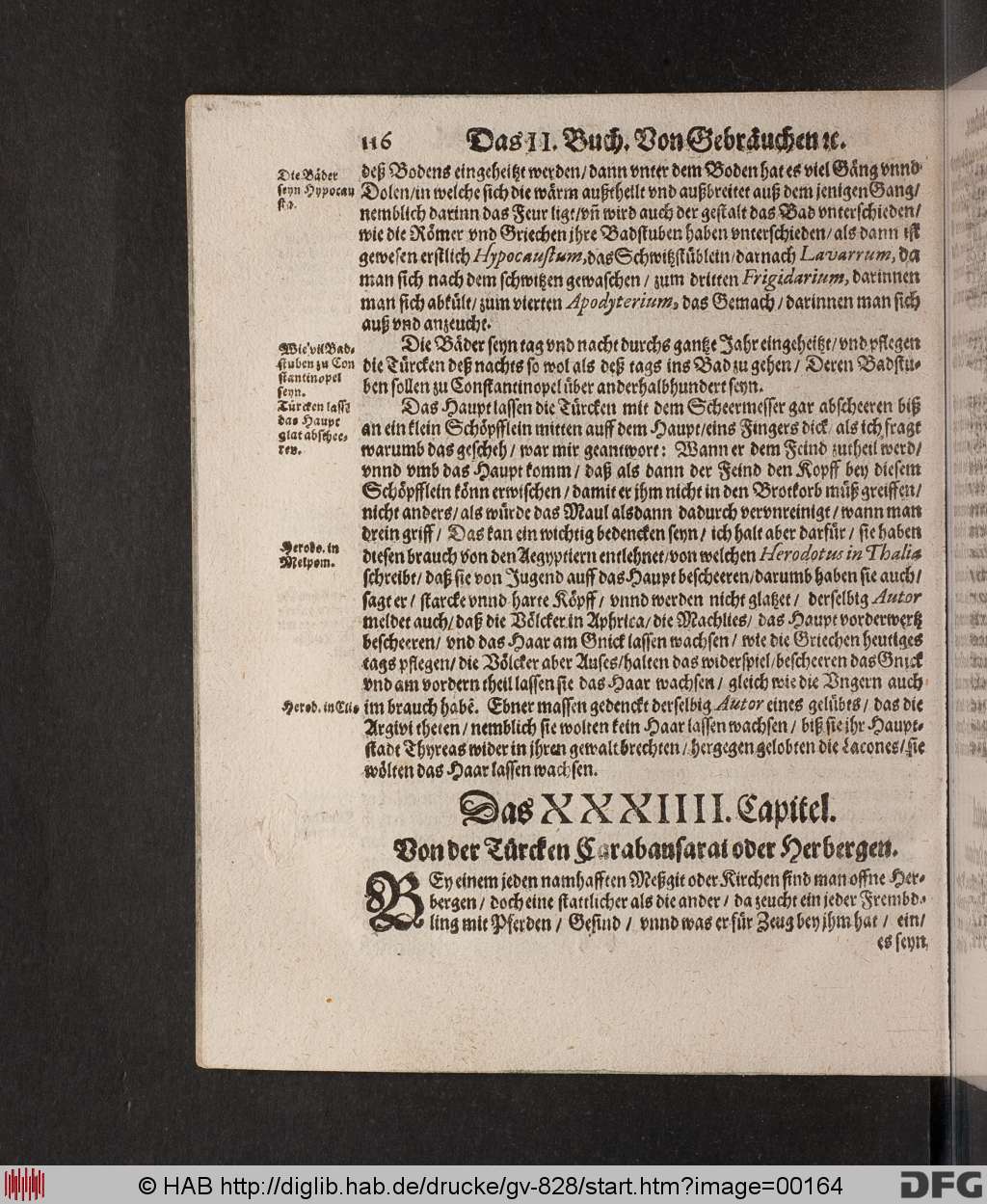 http://diglib.hab.de/drucke/gv-828/00164.jpg