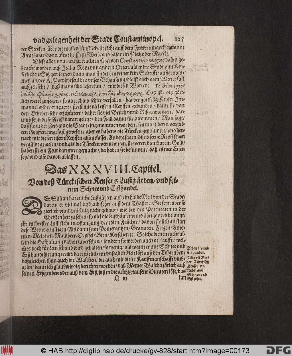 http://diglib.hab.de/drucke/gv-828/00173.jpg