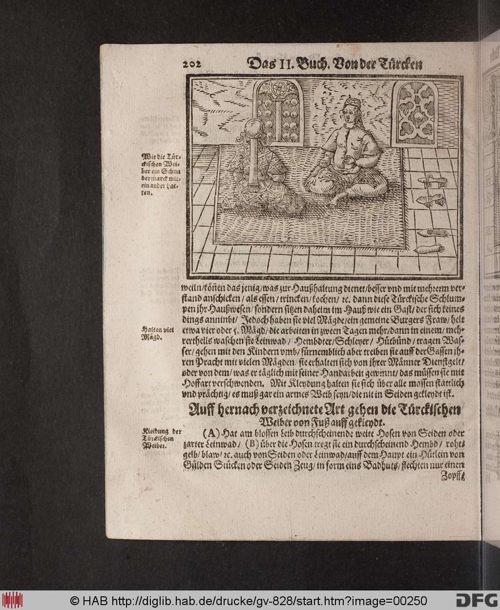 http://diglib.hab.de/drucke/gv-828/00250.jpg