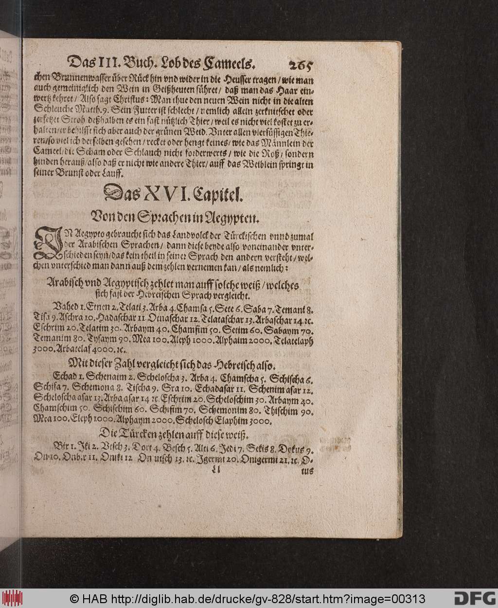 http://diglib.hab.de/drucke/gv-828/00313.jpg