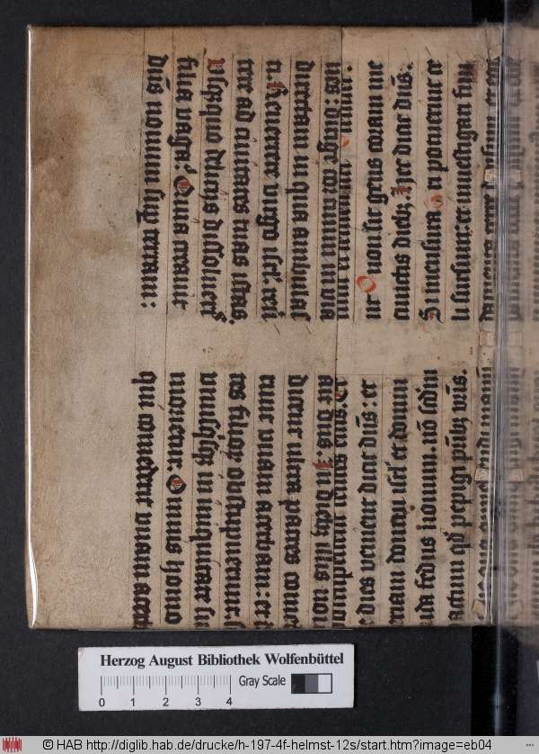 http://diglib.hab.de/drucke/h-197-4f-helmst-12s/min/eb04.jpg