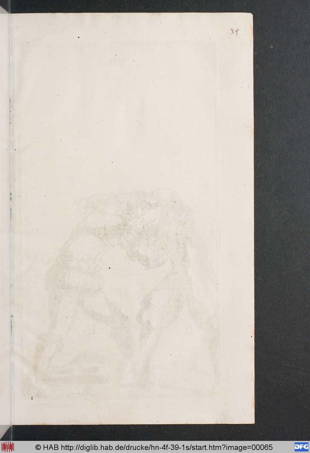 http://diglib.hab.de/drucke/hn-4f-39-1s/00065.jpg