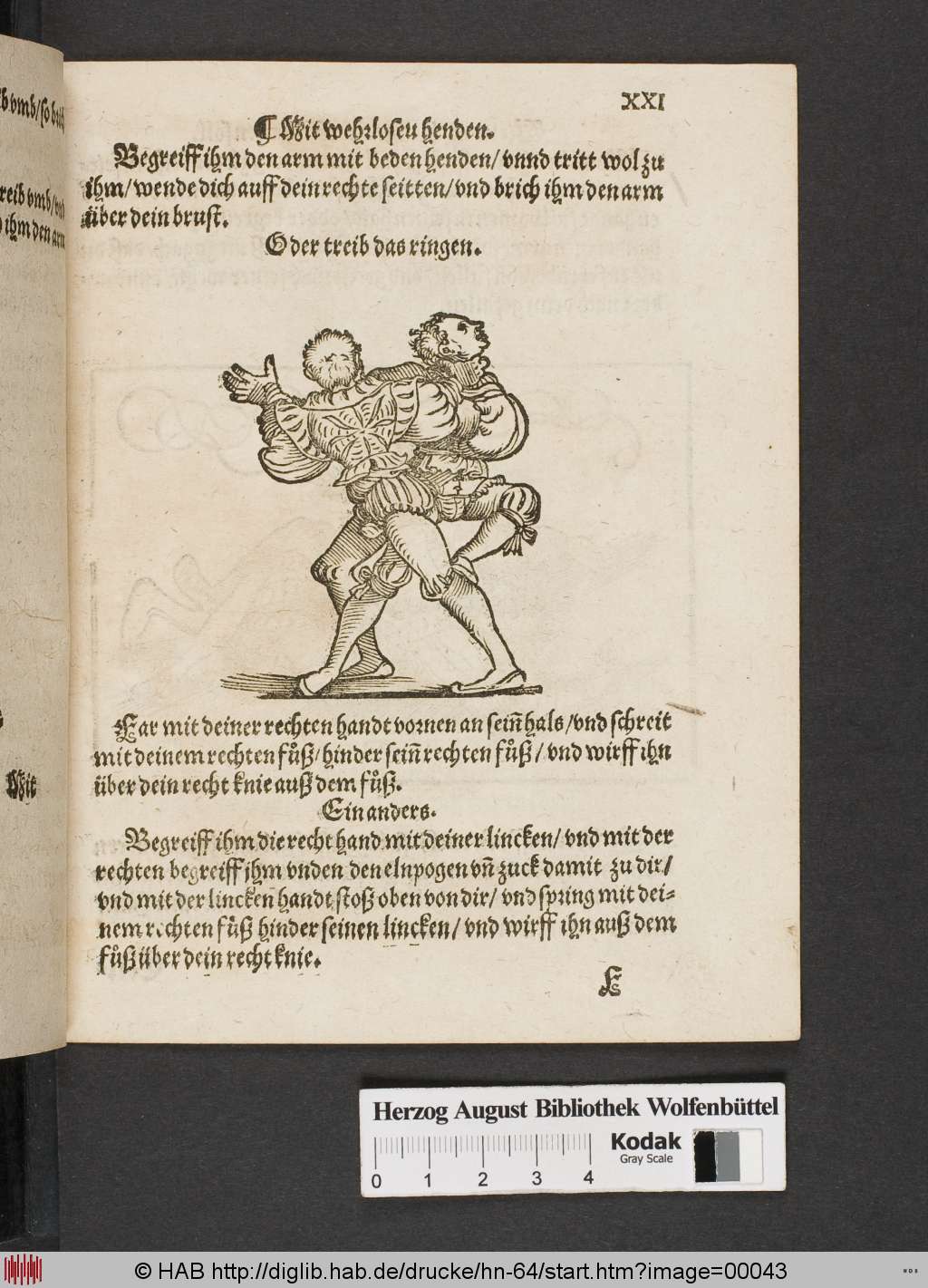 http://diglib.hab.de/drucke/hn-64/00043.jpg