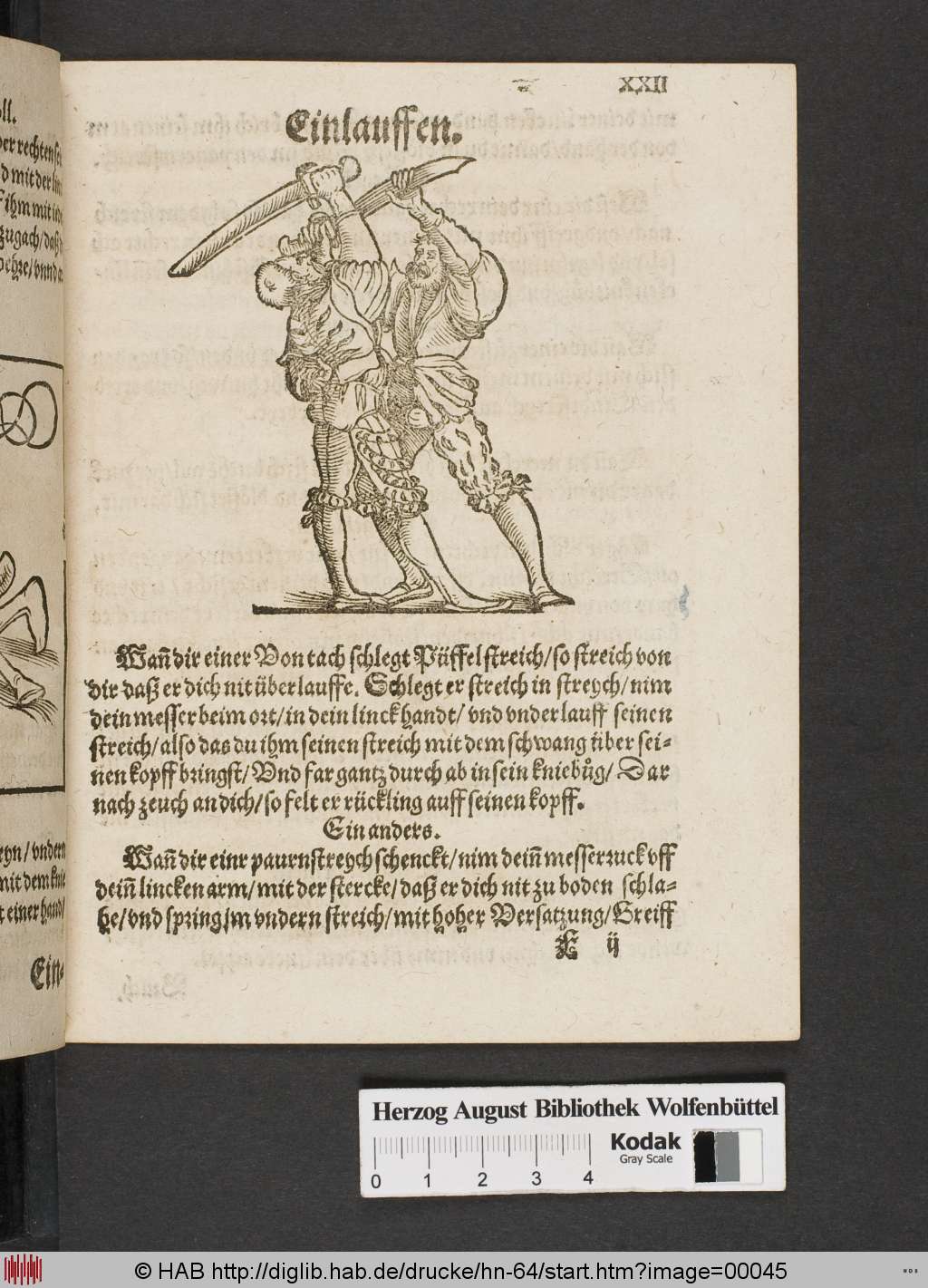 http://diglib.hab.de/drucke/hn-64/00045.jpg