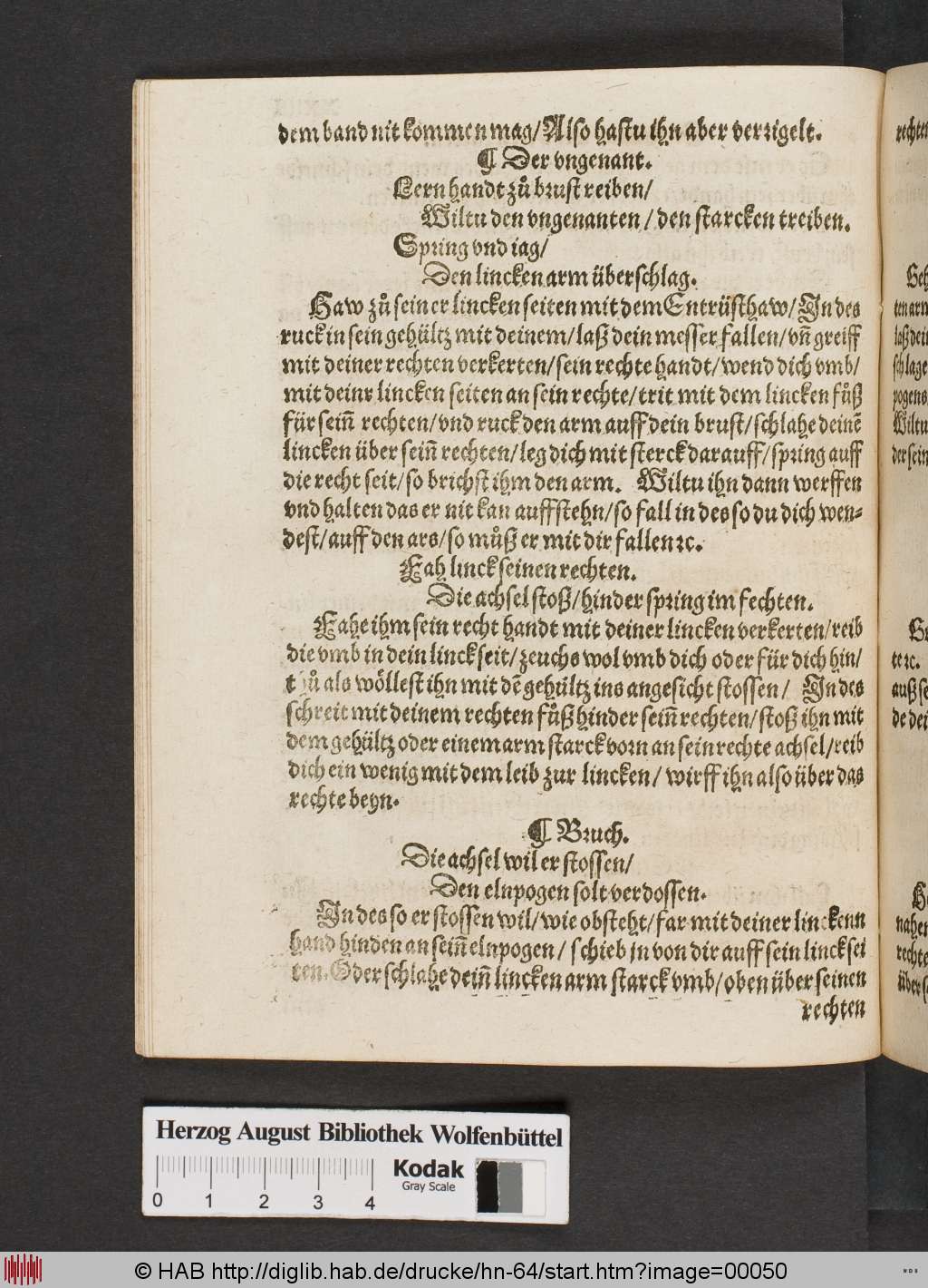 http://diglib.hab.de/drucke/hn-64/00050.jpg