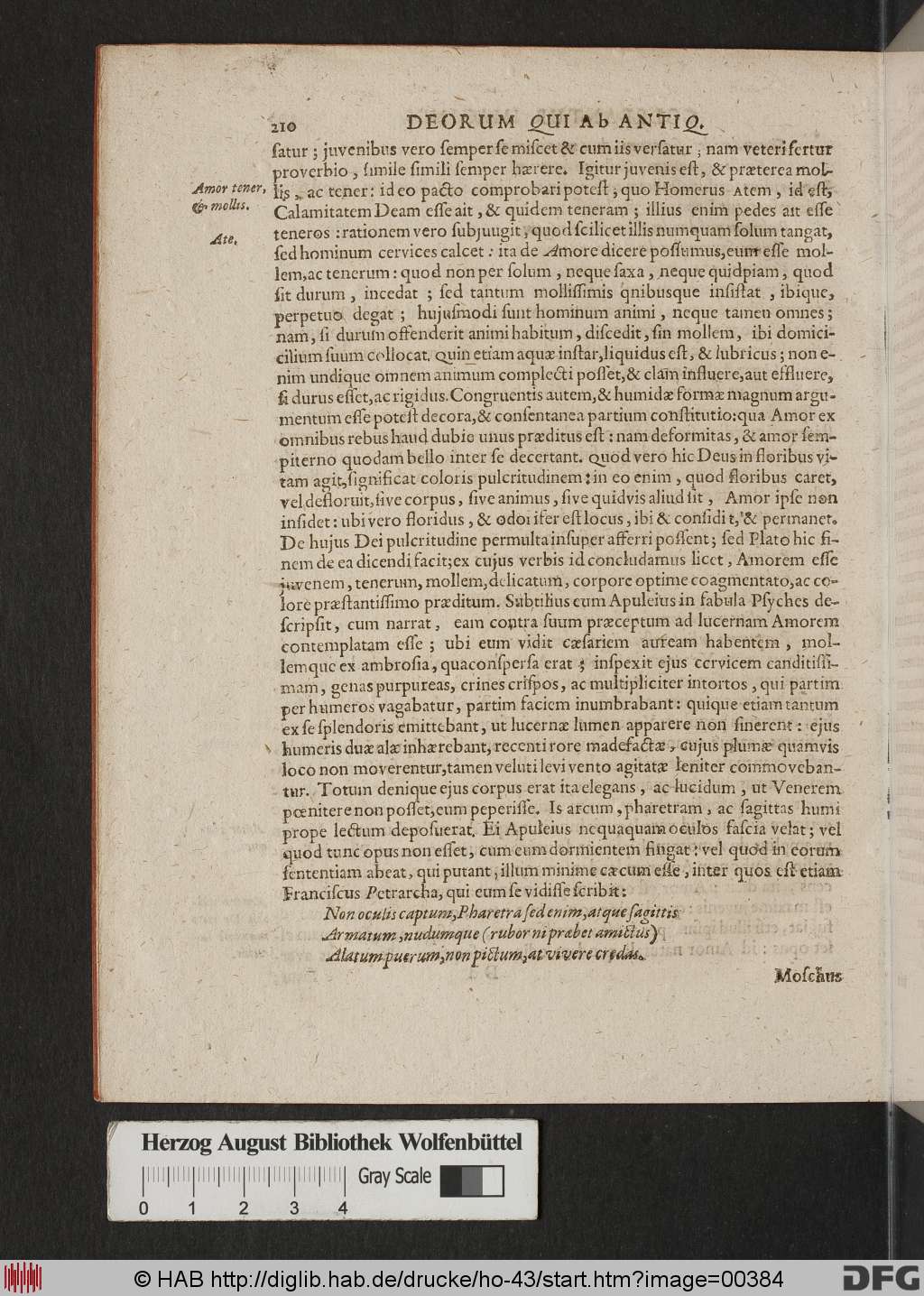 http://diglib.hab.de/drucke/ho-43/00384.jpg