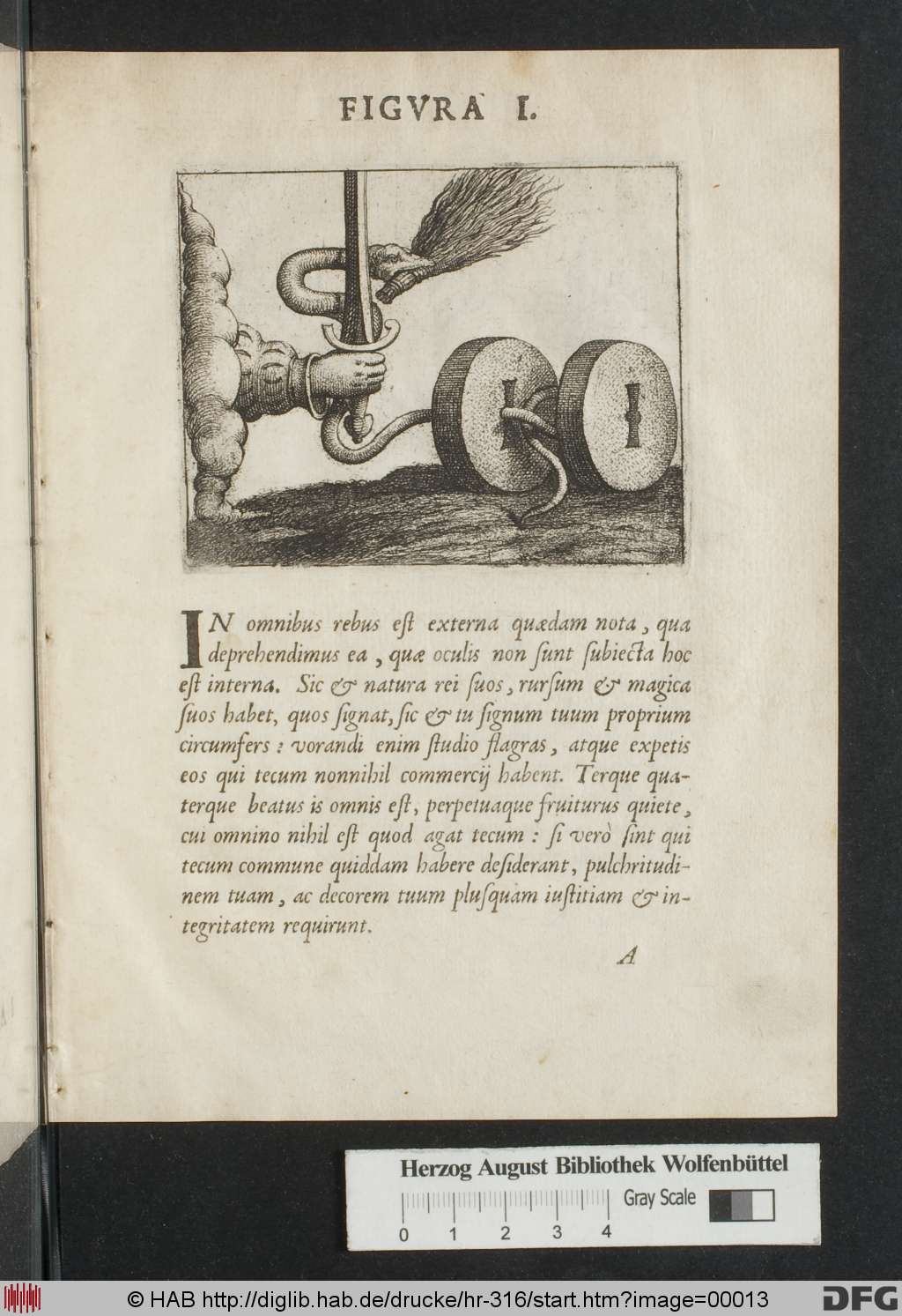 http://diglib.hab.de/drucke/hr-316/00013.jpg