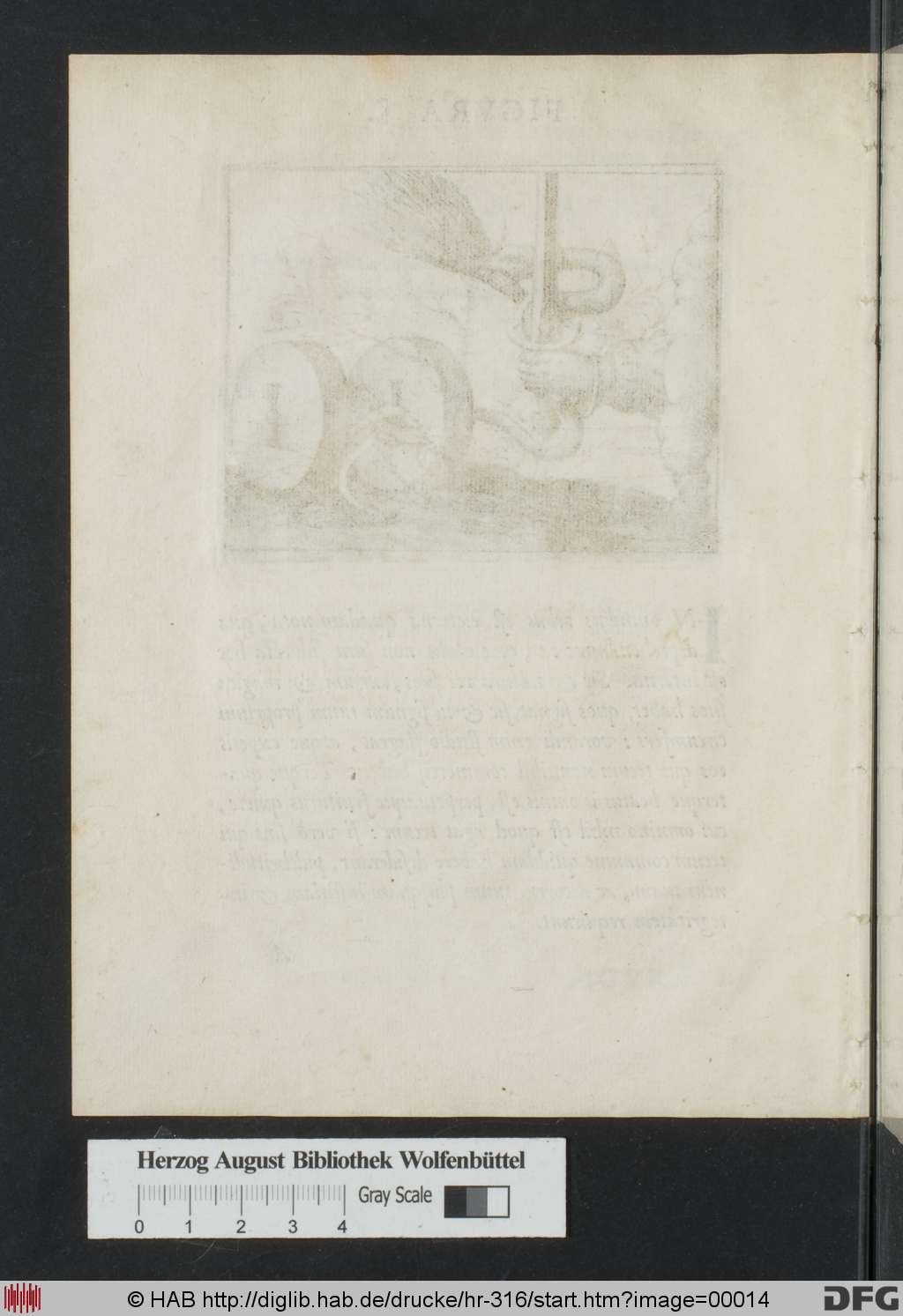 http://diglib.hab.de/drucke/hr-316/00014.jpg