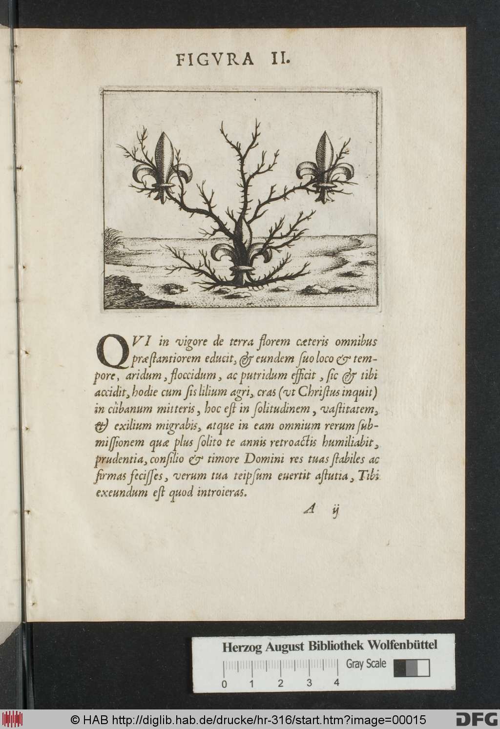 http://diglib.hab.de/drucke/hr-316/00015.jpg