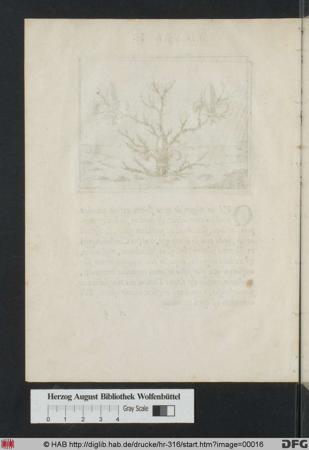 http://diglib.hab.de/drucke/hr-316/00016.jpg