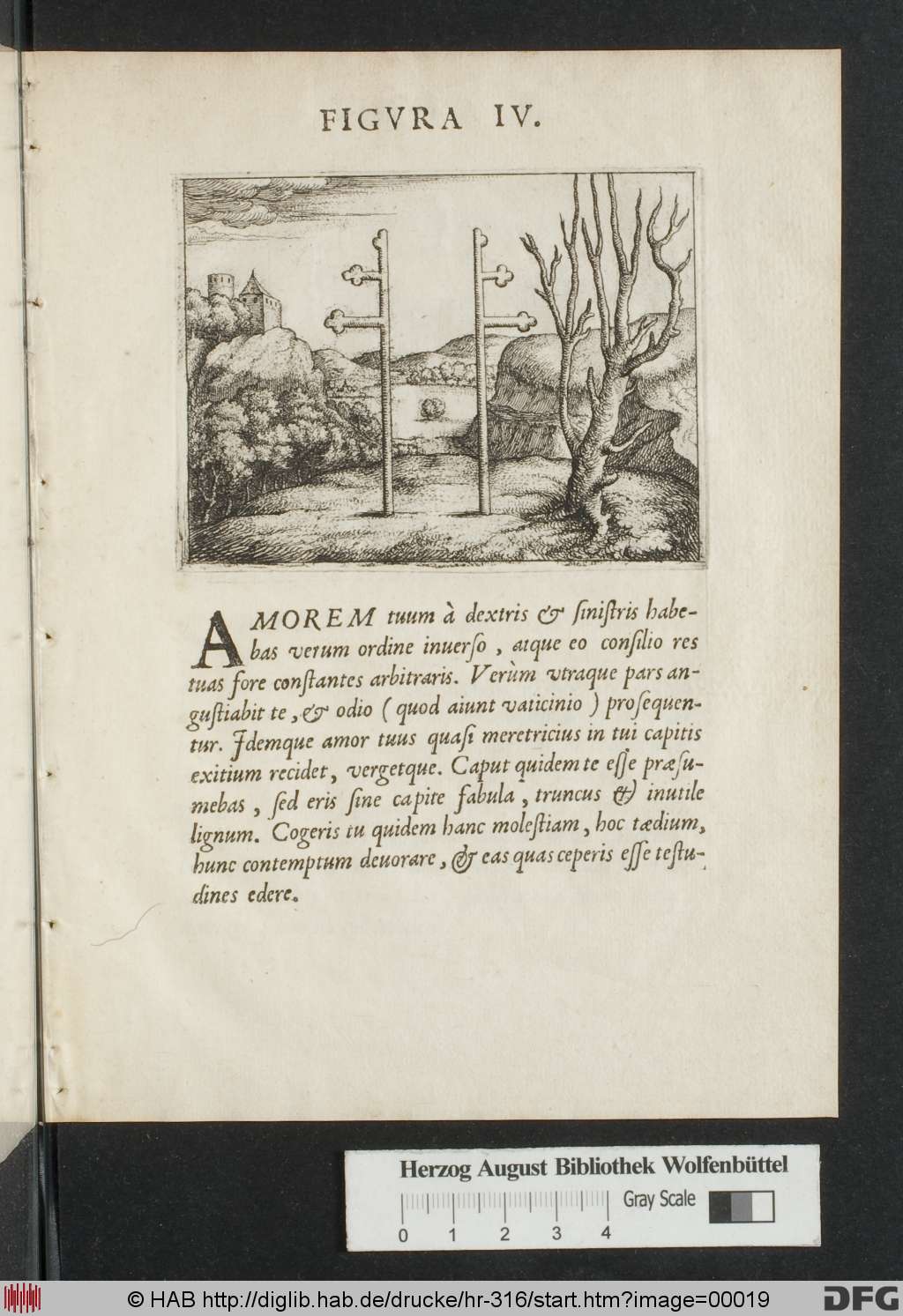 http://diglib.hab.de/drucke/hr-316/00019.jpg