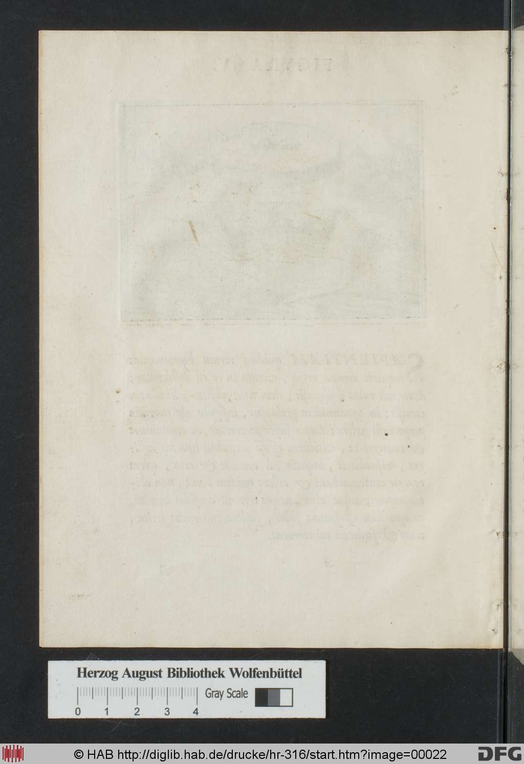 http://diglib.hab.de/drucke/hr-316/00022.jpg