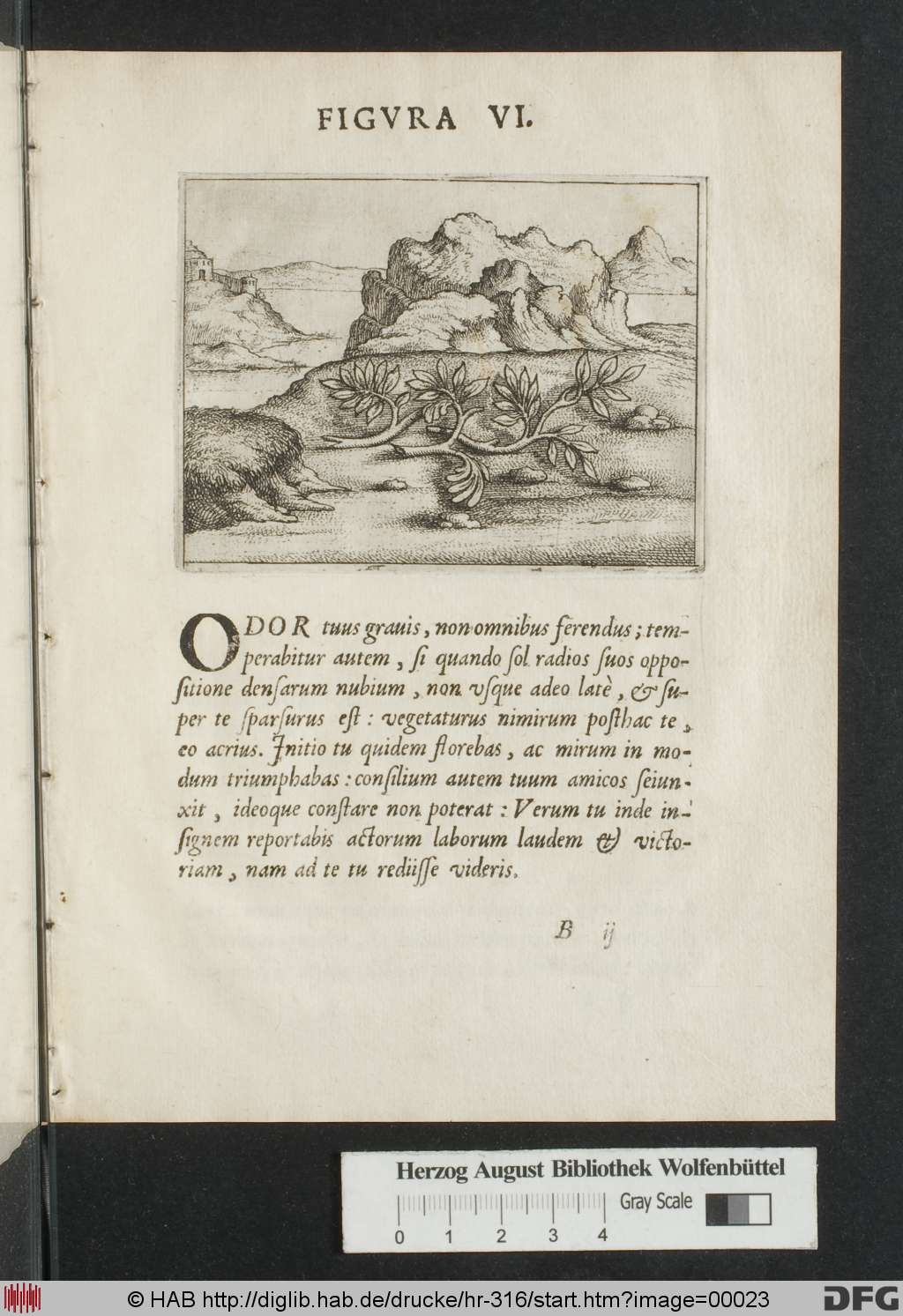 http://diglib.hab.de/drucke/hr-316/00023.jpg