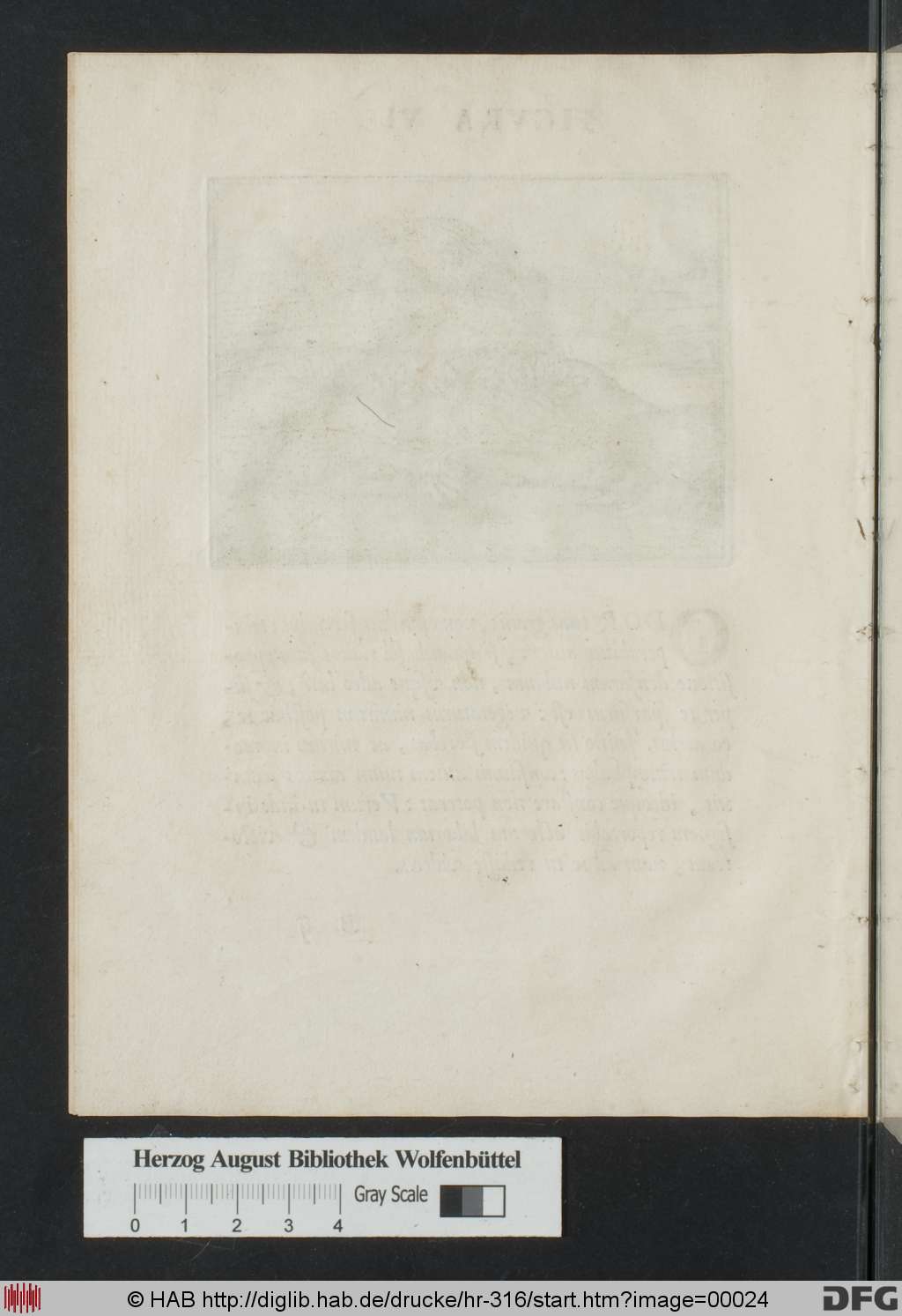 http://diglib.hab.de/drucke/hr-316/00024.jpg